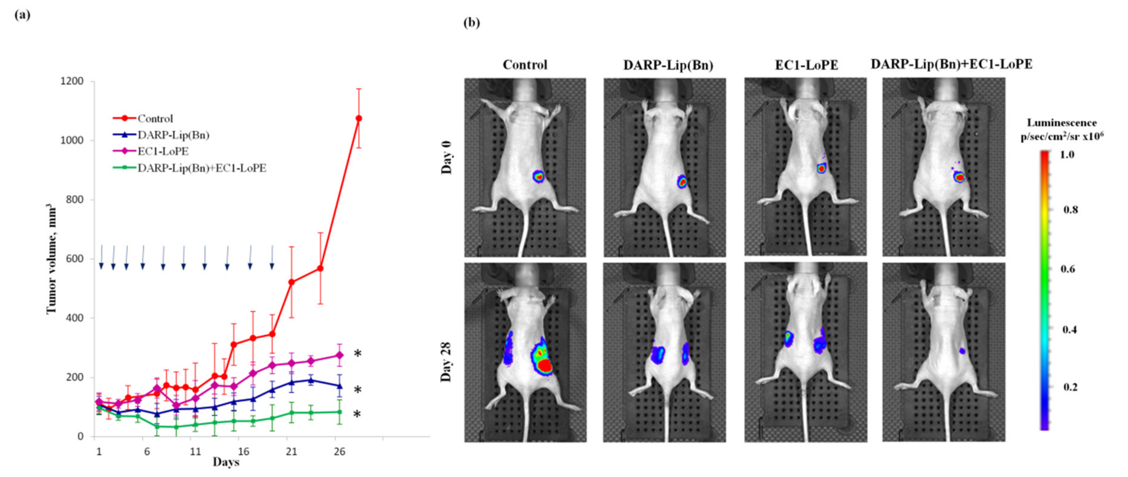 Cancers 12 03014 g005