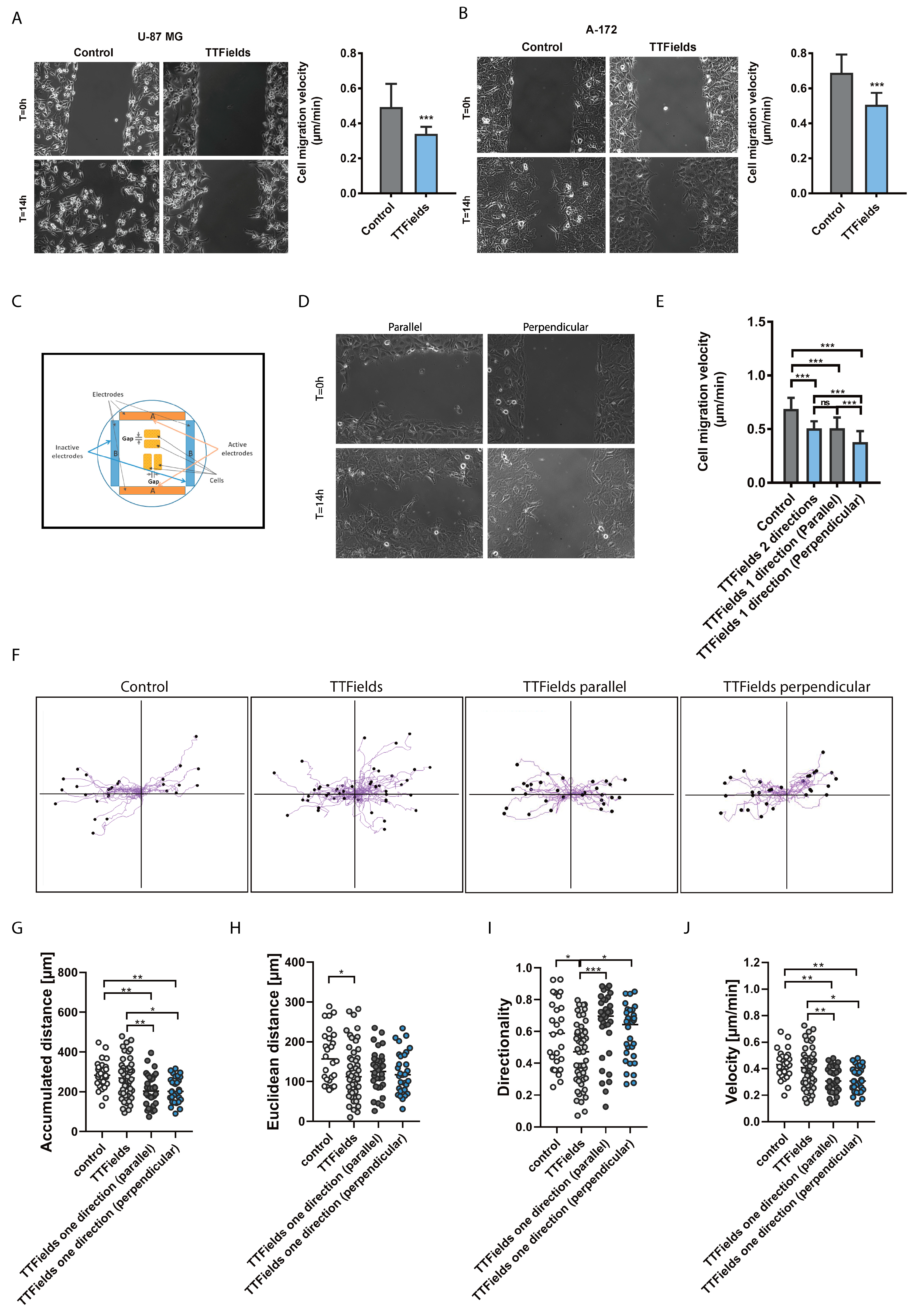 Cancers 12 03016 g002