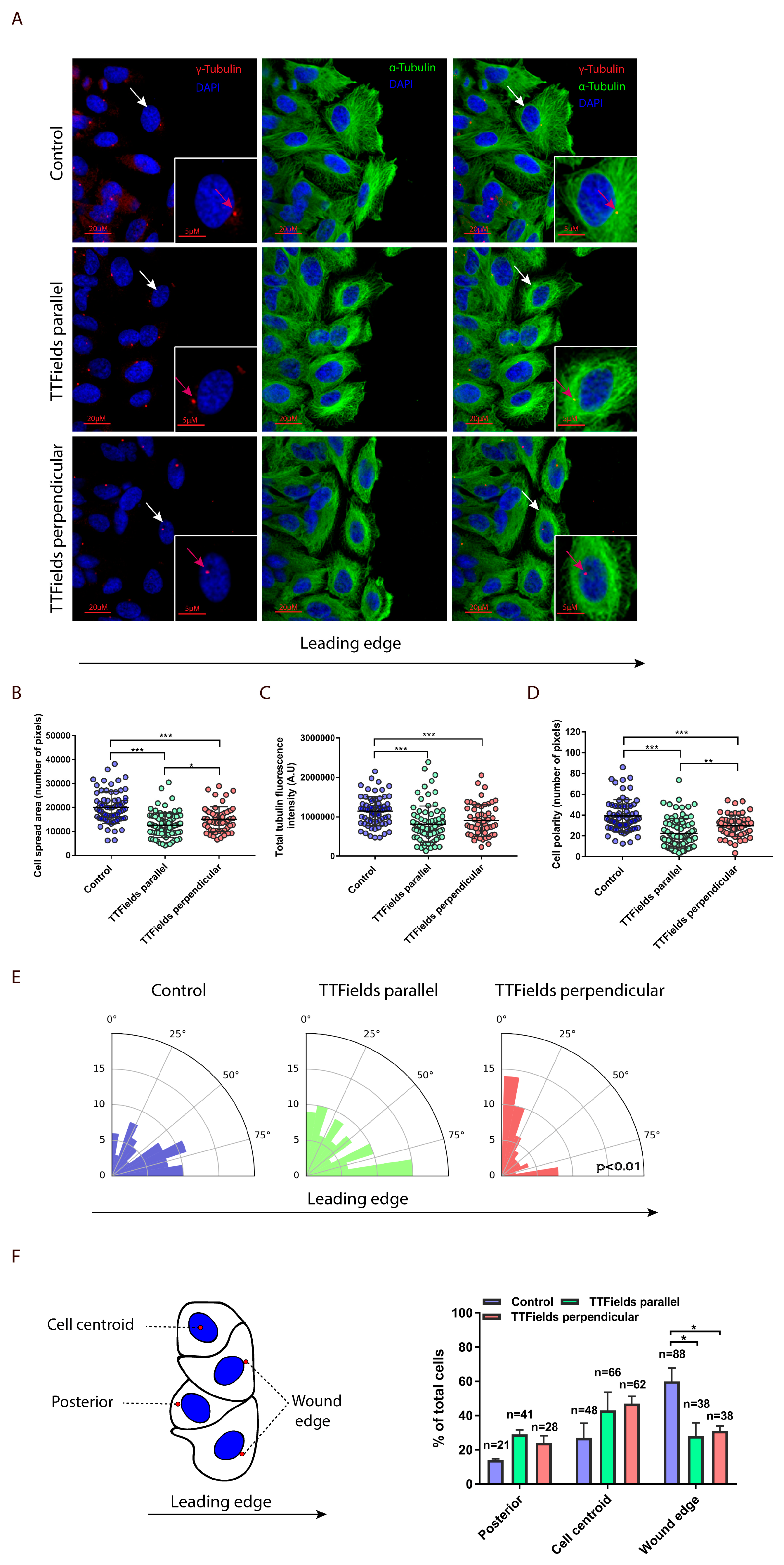 Cancers 12 03016 g003
