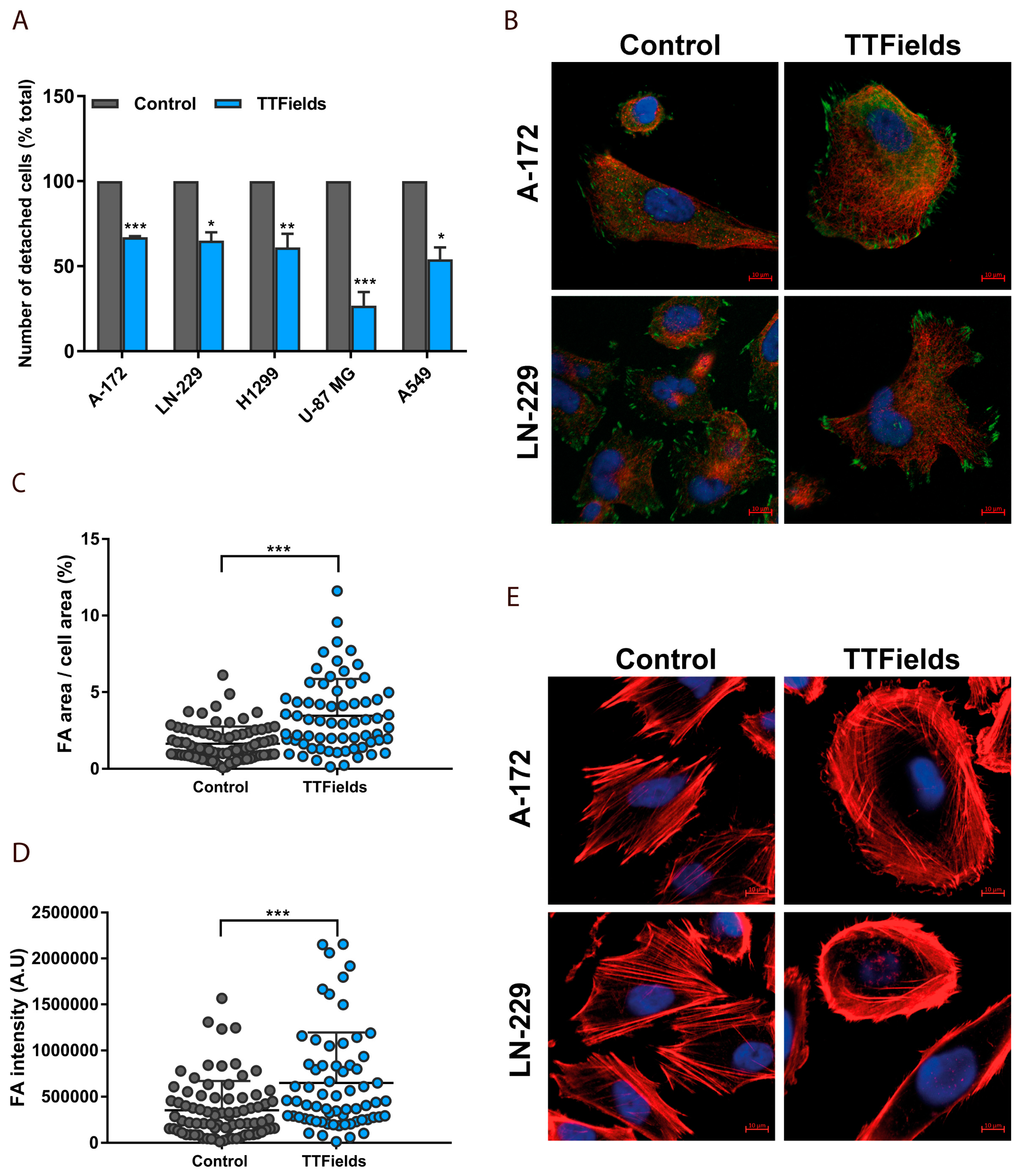 Cancers 12 03016 g004