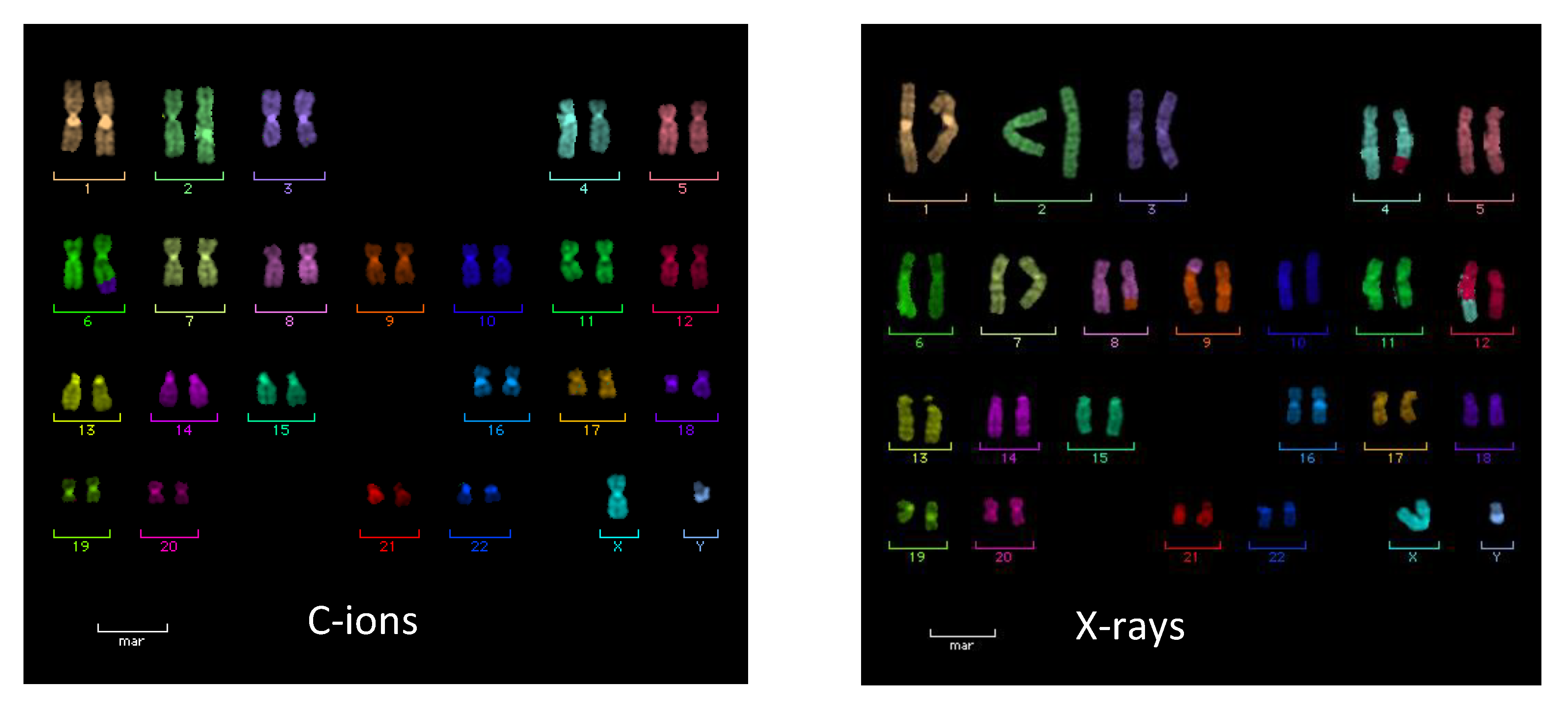 Cancers 12 03022 g005 Cancers 12 03022 g005