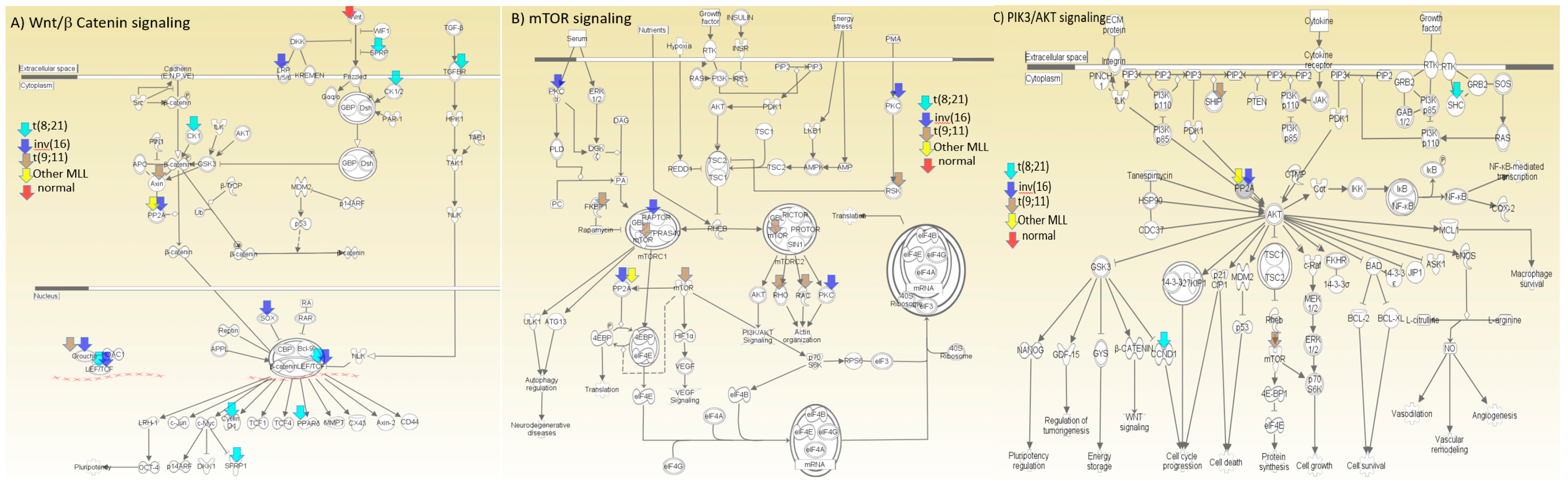Cancers 12 03024 g005 Cancers 12 03024 g005