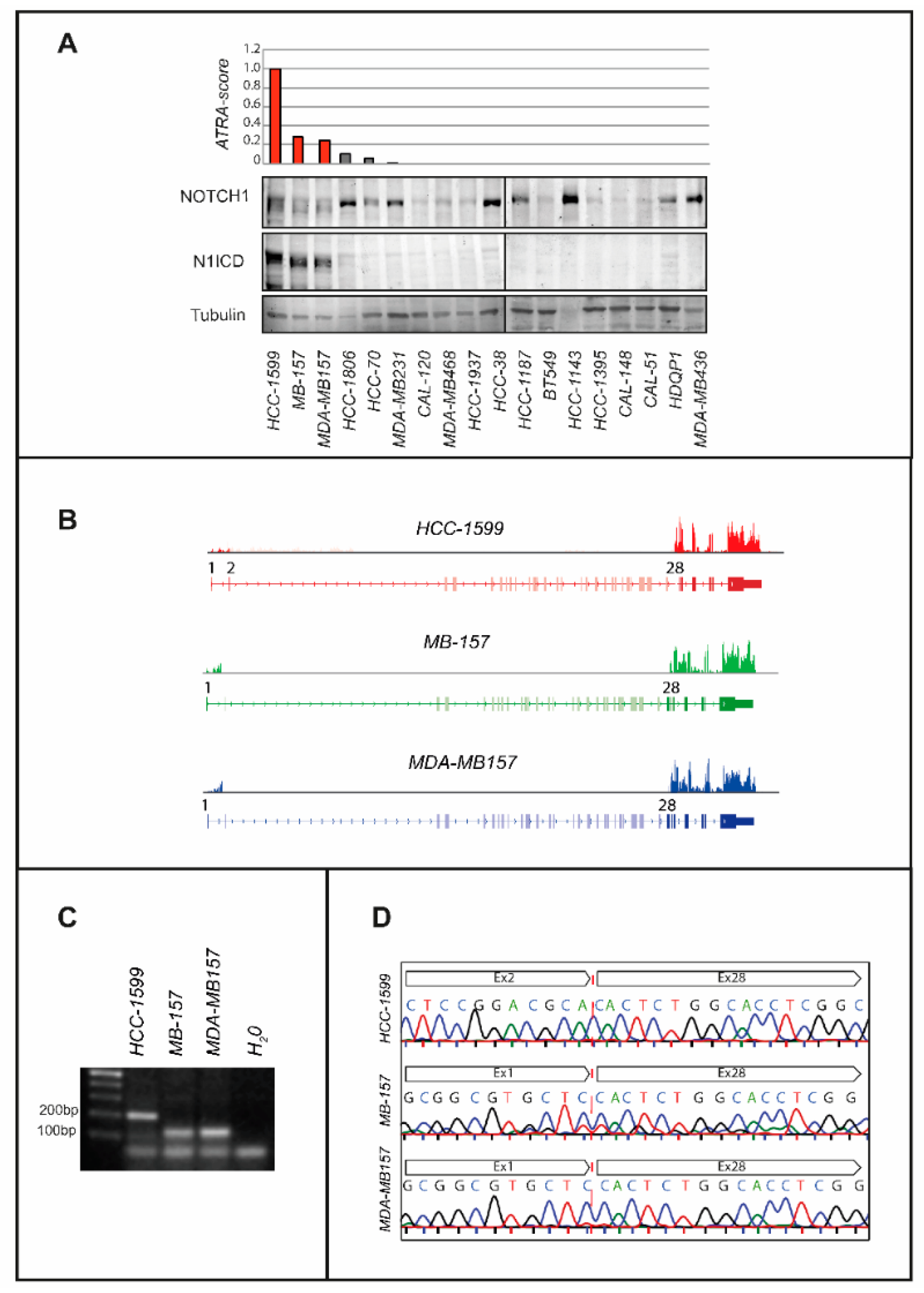 Cancers 12 03027 g001 Cancers 12 03027 g001