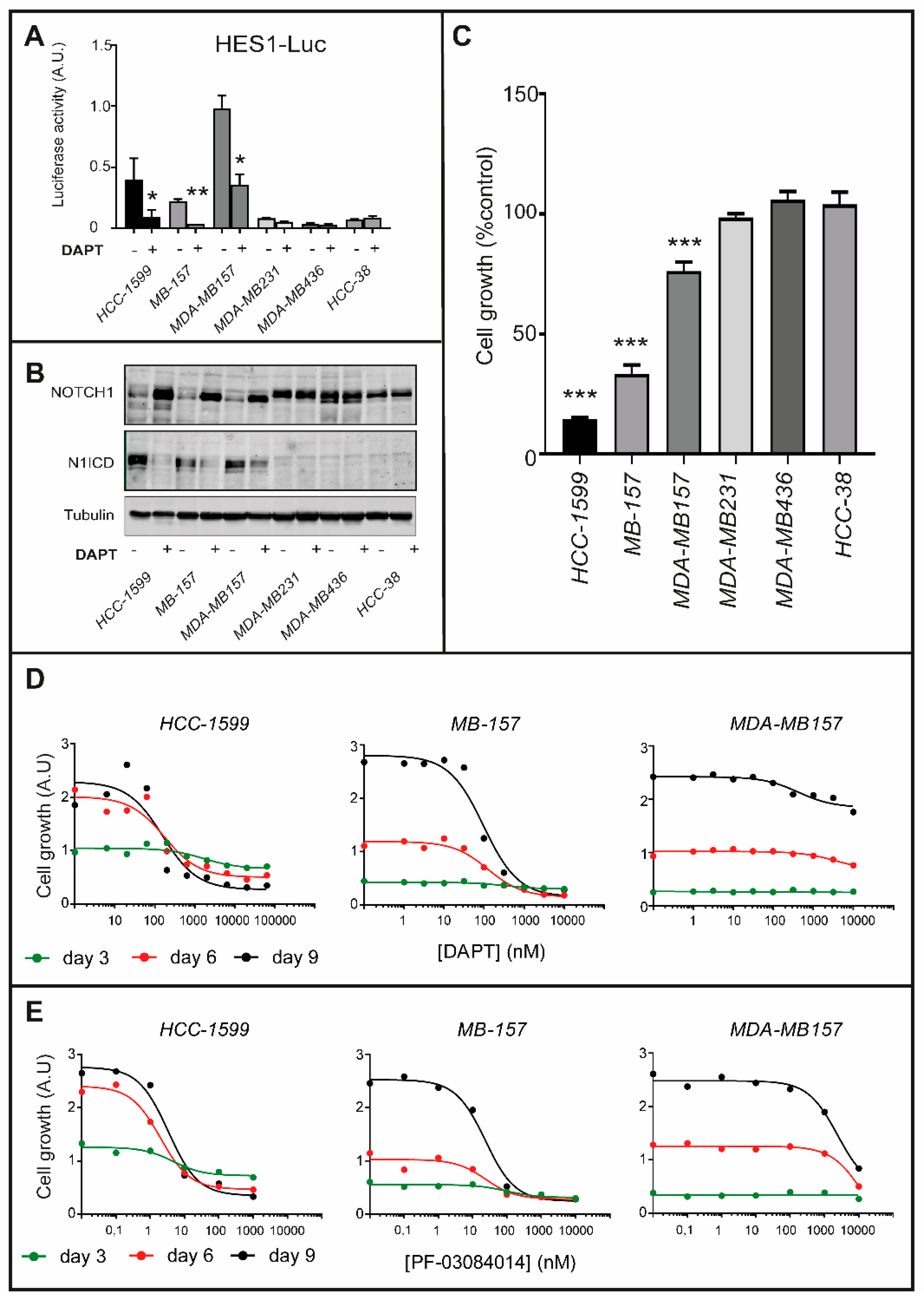 Cancers 12 03027 g002 Cancers 12 03027 g002