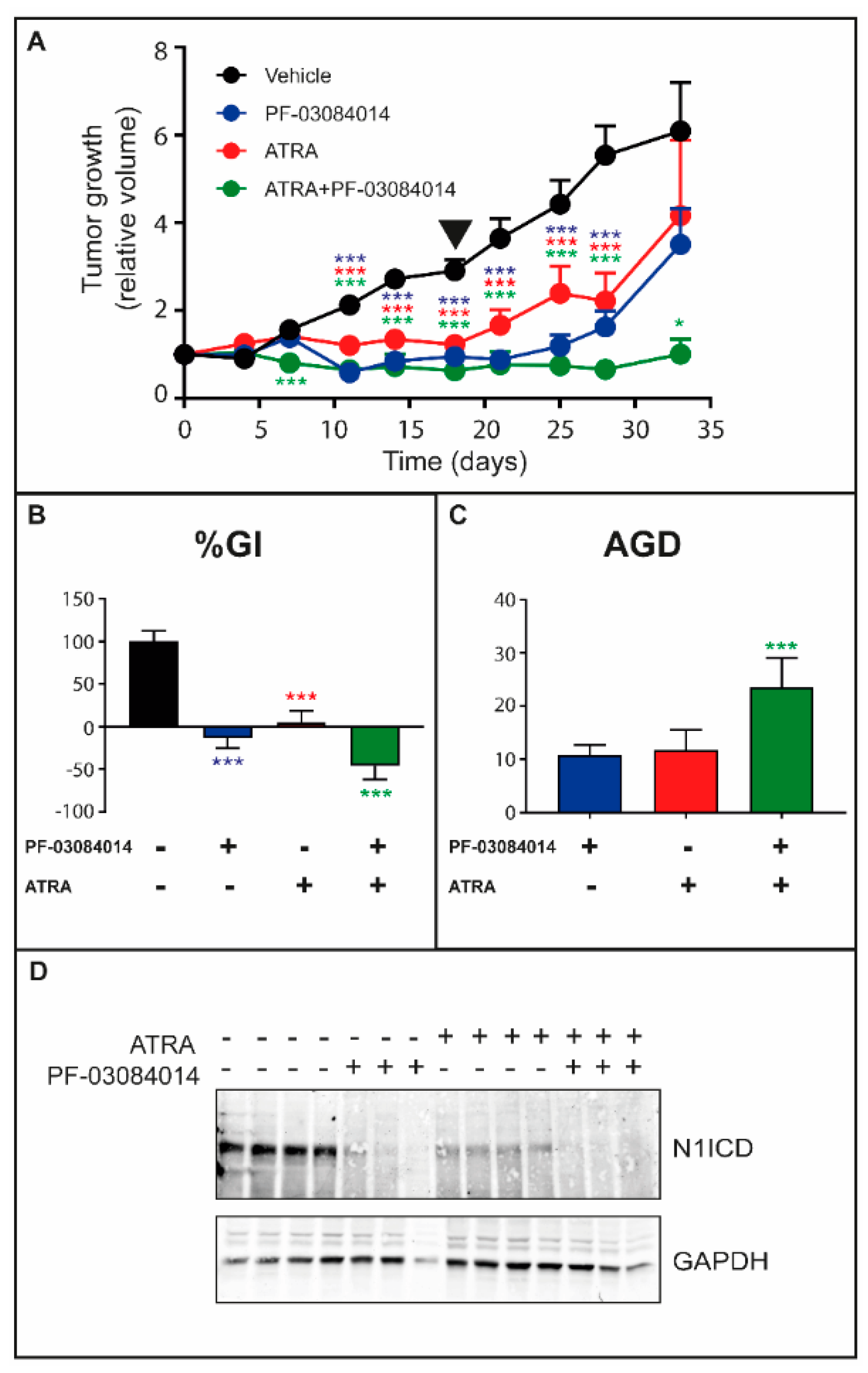 Cancers 12 03027 g004 Cancers 12 03027 g004