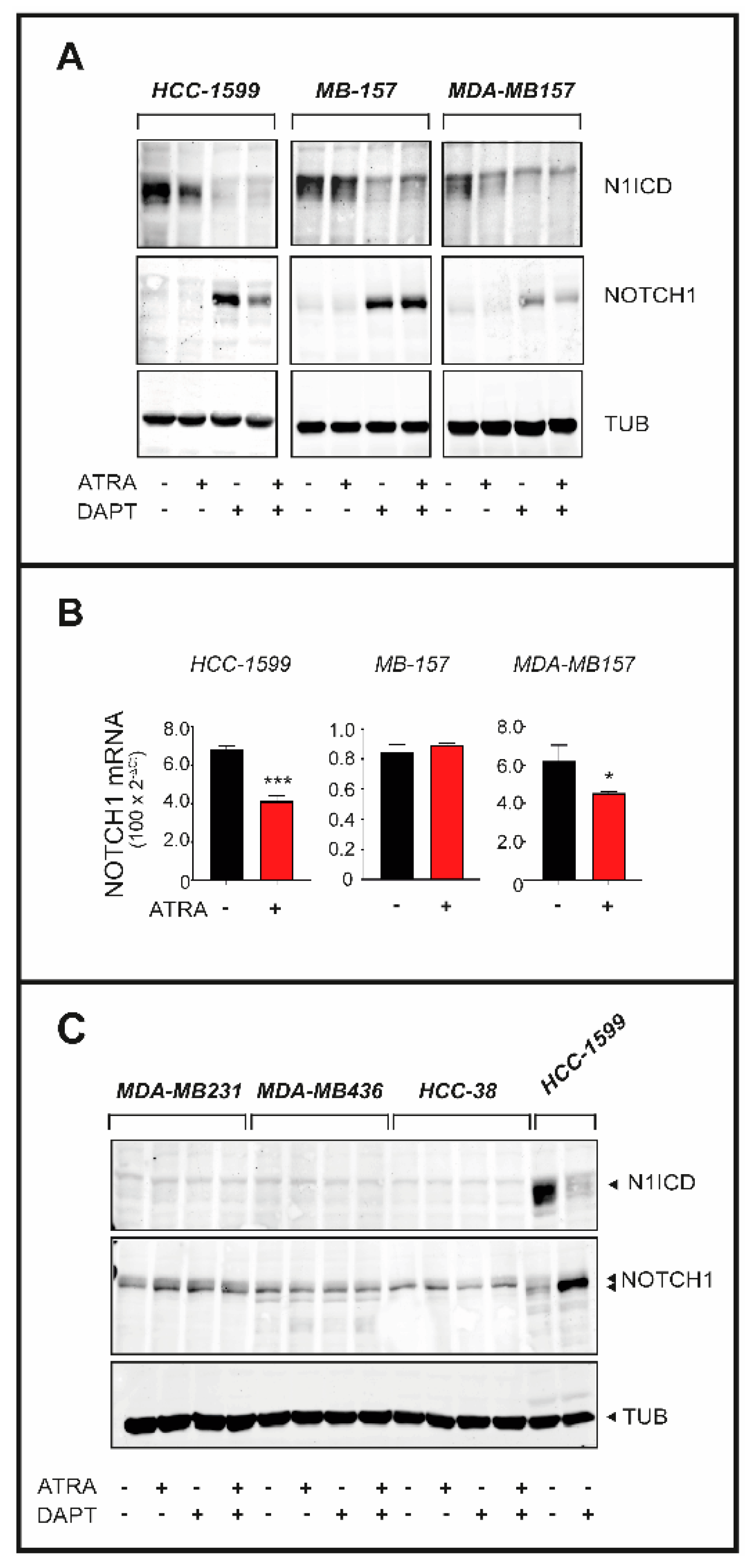 Cancers 12 03027 g005 Cancers 12 03027 g005