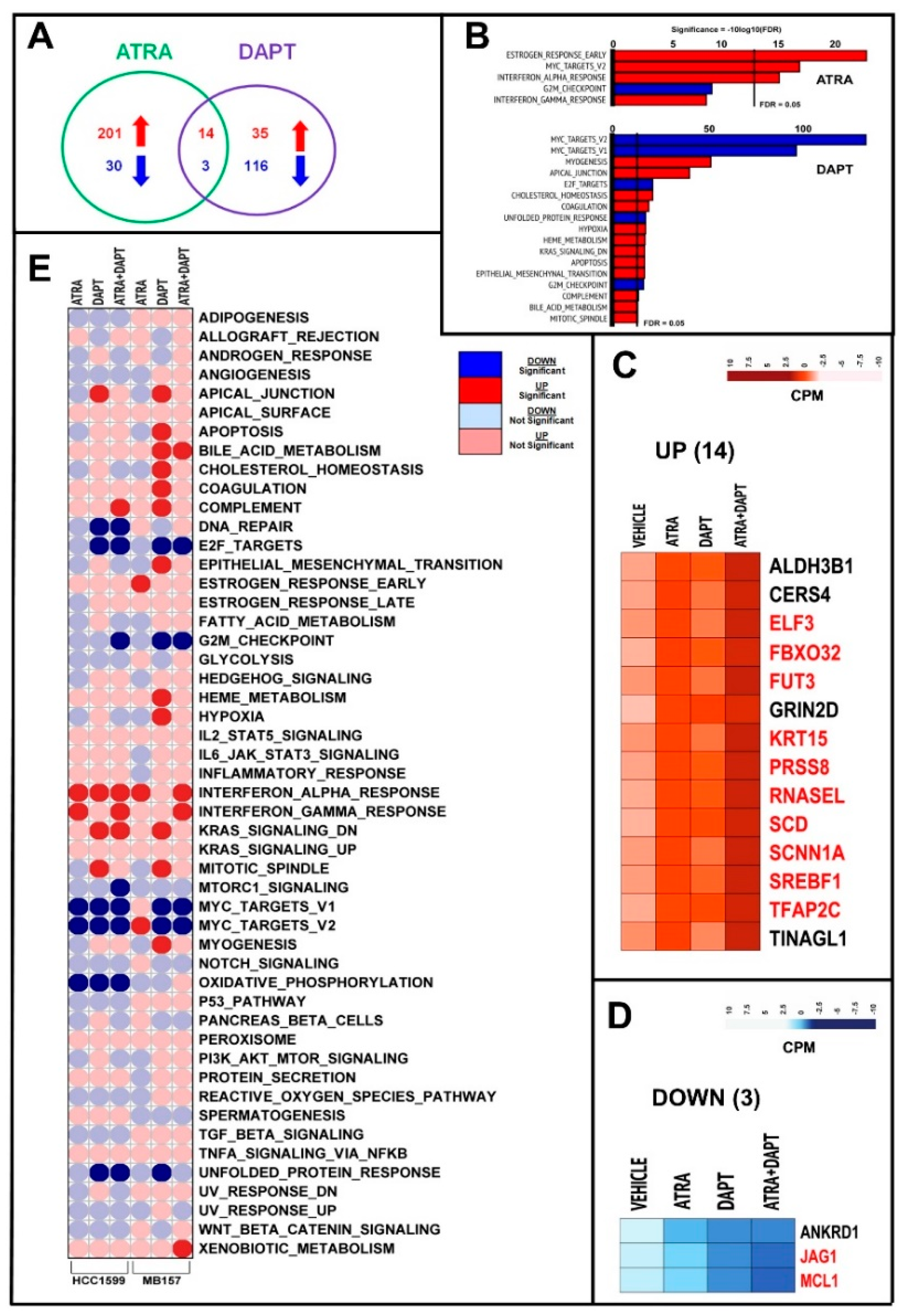 Cancers 12 03027 g007 Cancers 12 03027 g007