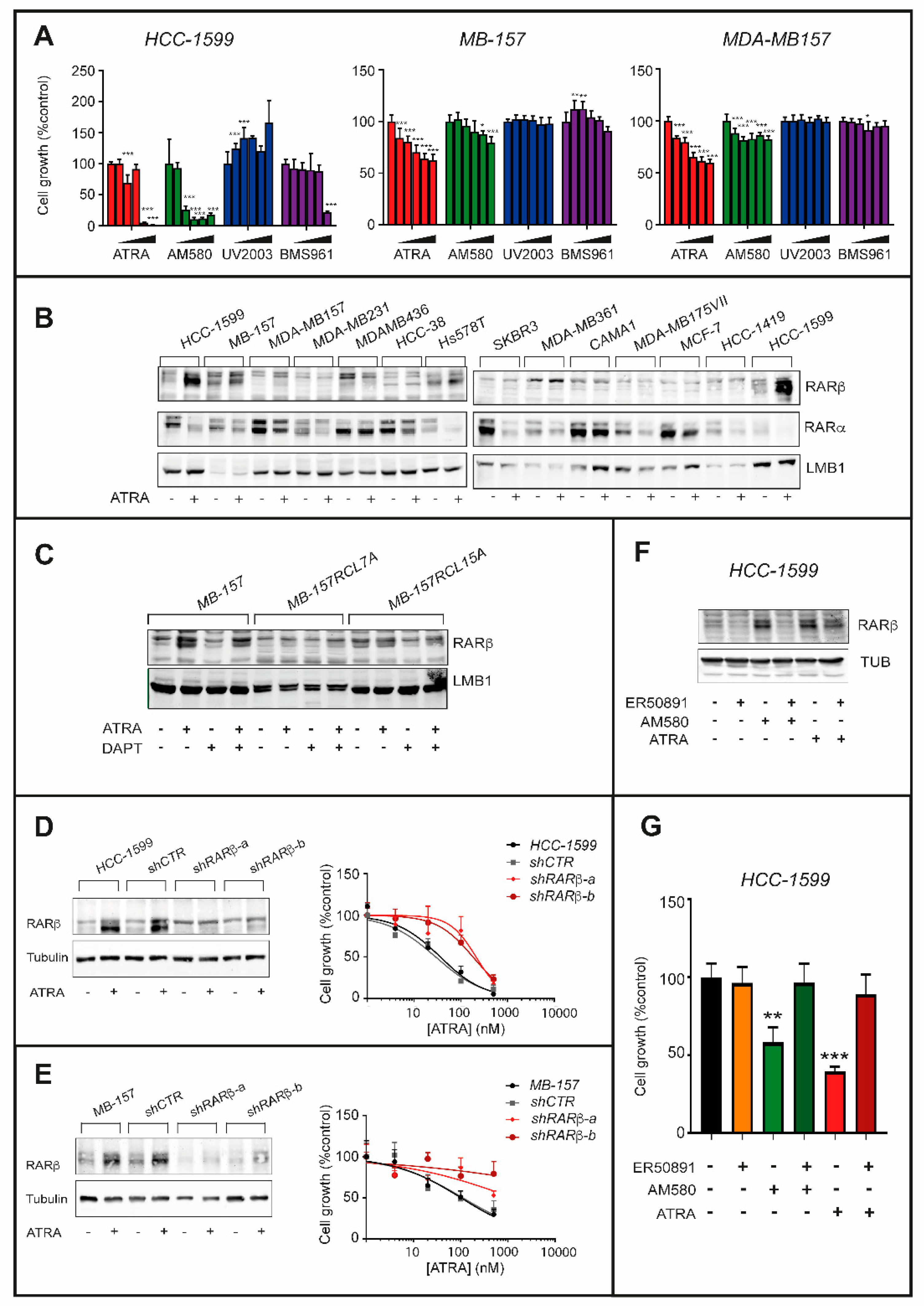 Cancers 12 03027 g008 Cancers 12 03027 g008