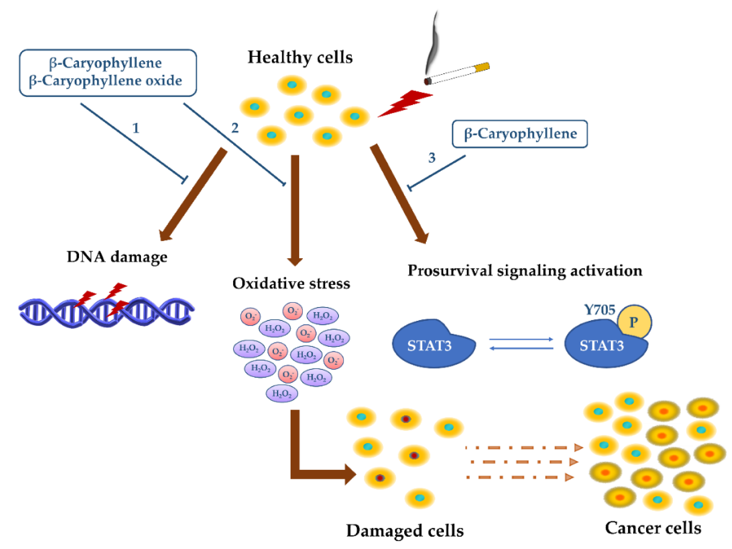 Cancers 12 03034 g005 Cancers 12 03034 g005