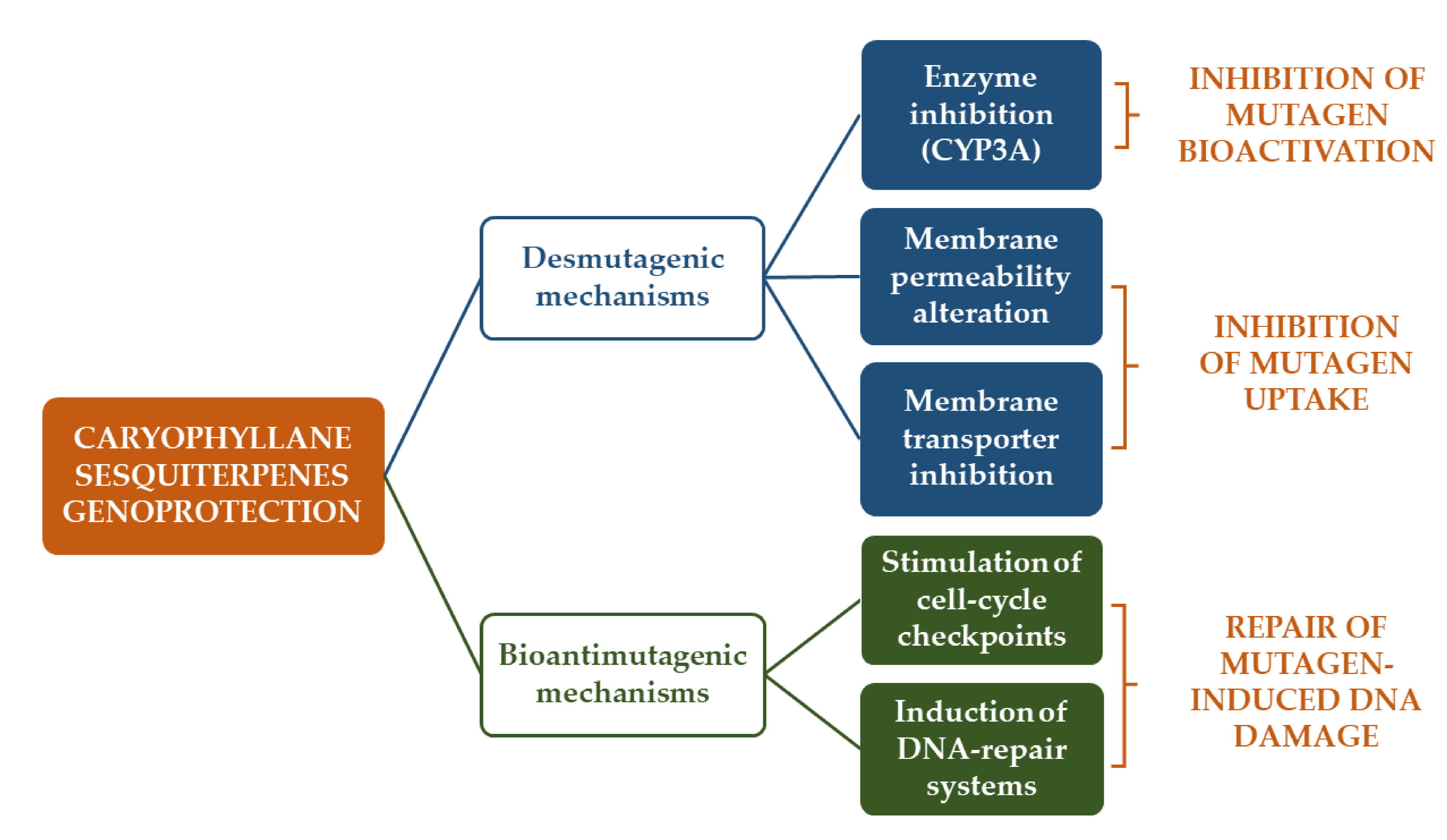 Cancers 12 03034 g006 Cancers 12 03034 g006