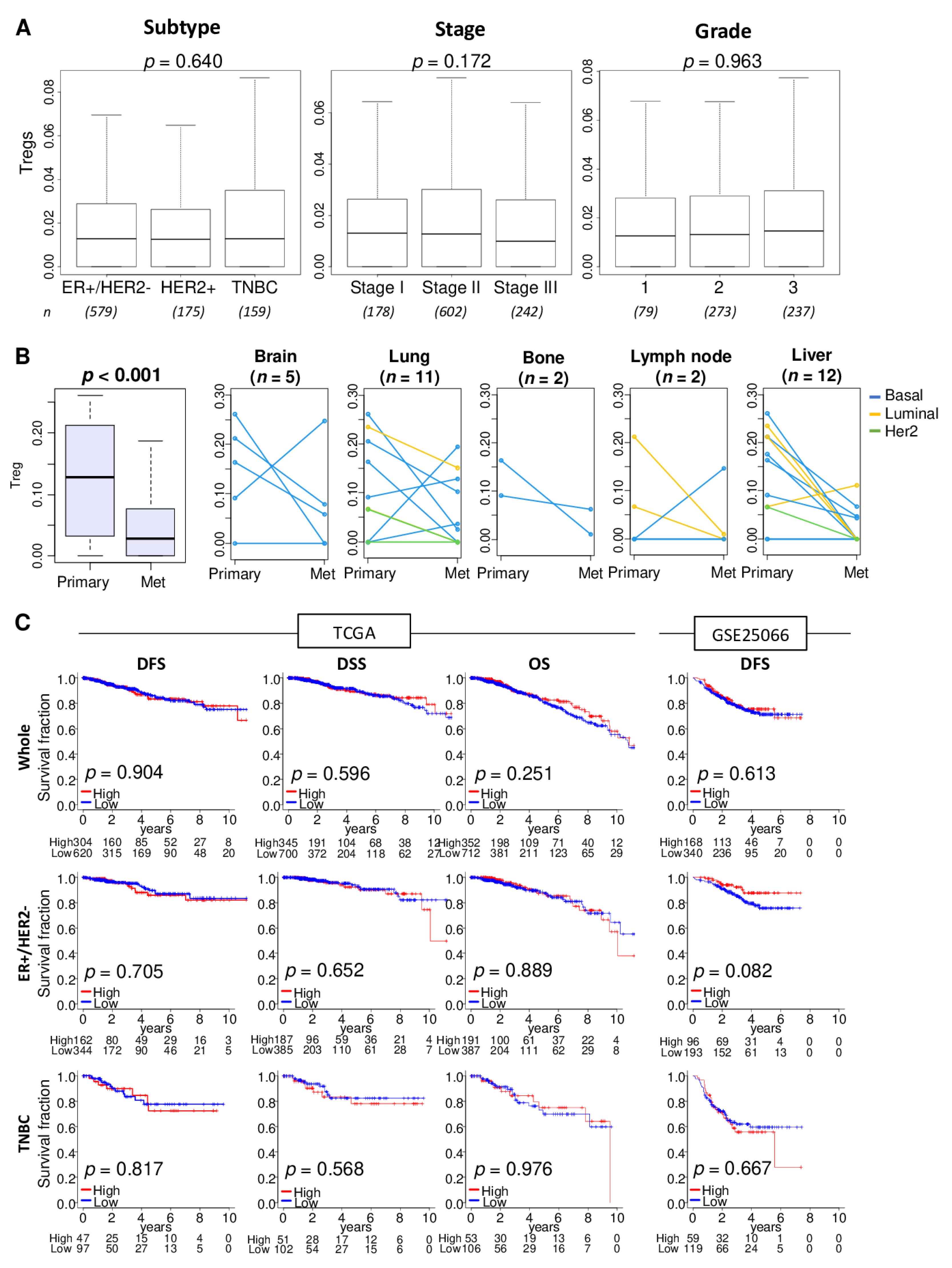 Cancers 12 03038 g001 Cancers 12 03038 g001