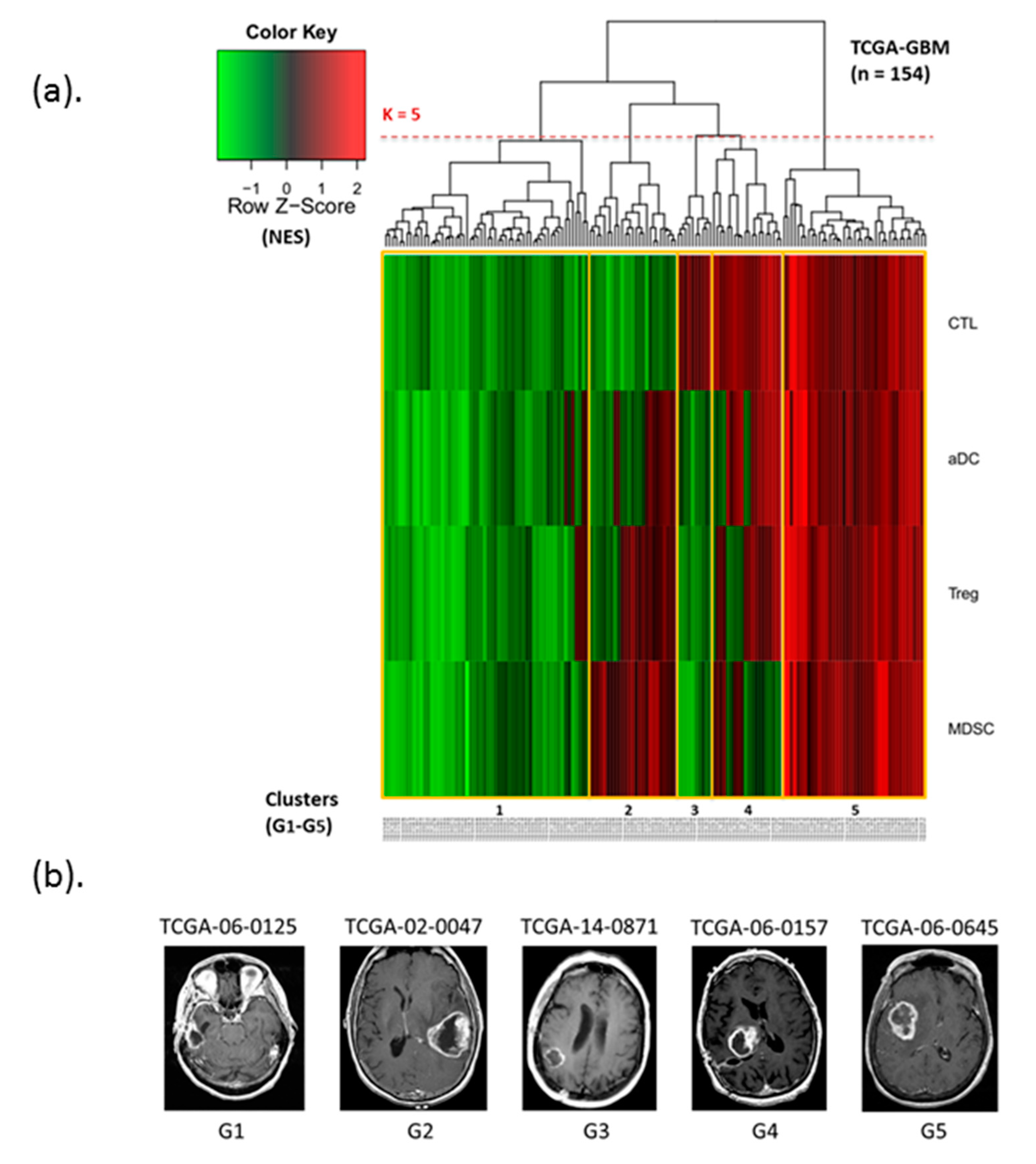 Cancers 12 03039 g001 Cancers 12 03039 g001
