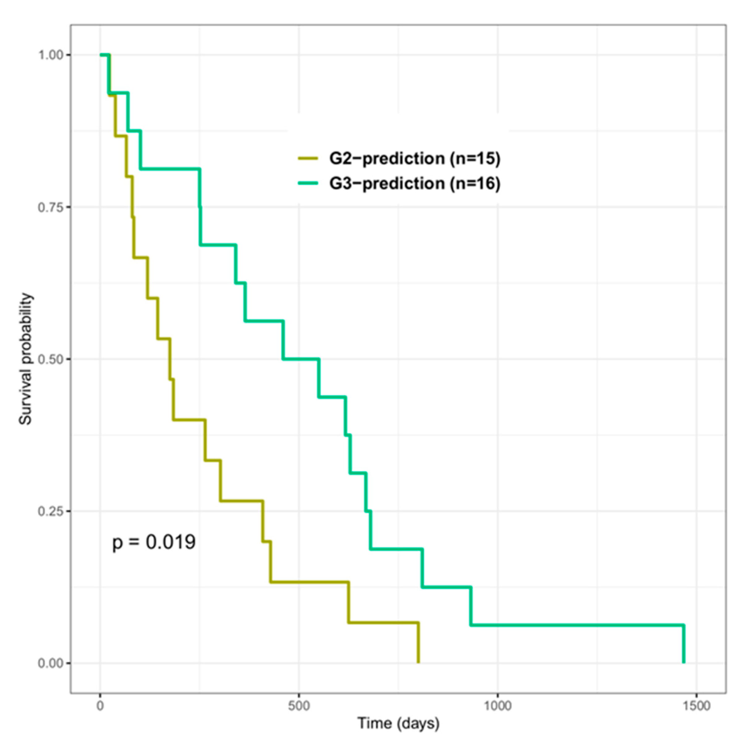 Cancers 12 03039 g004 Cancers 12 03039 g004