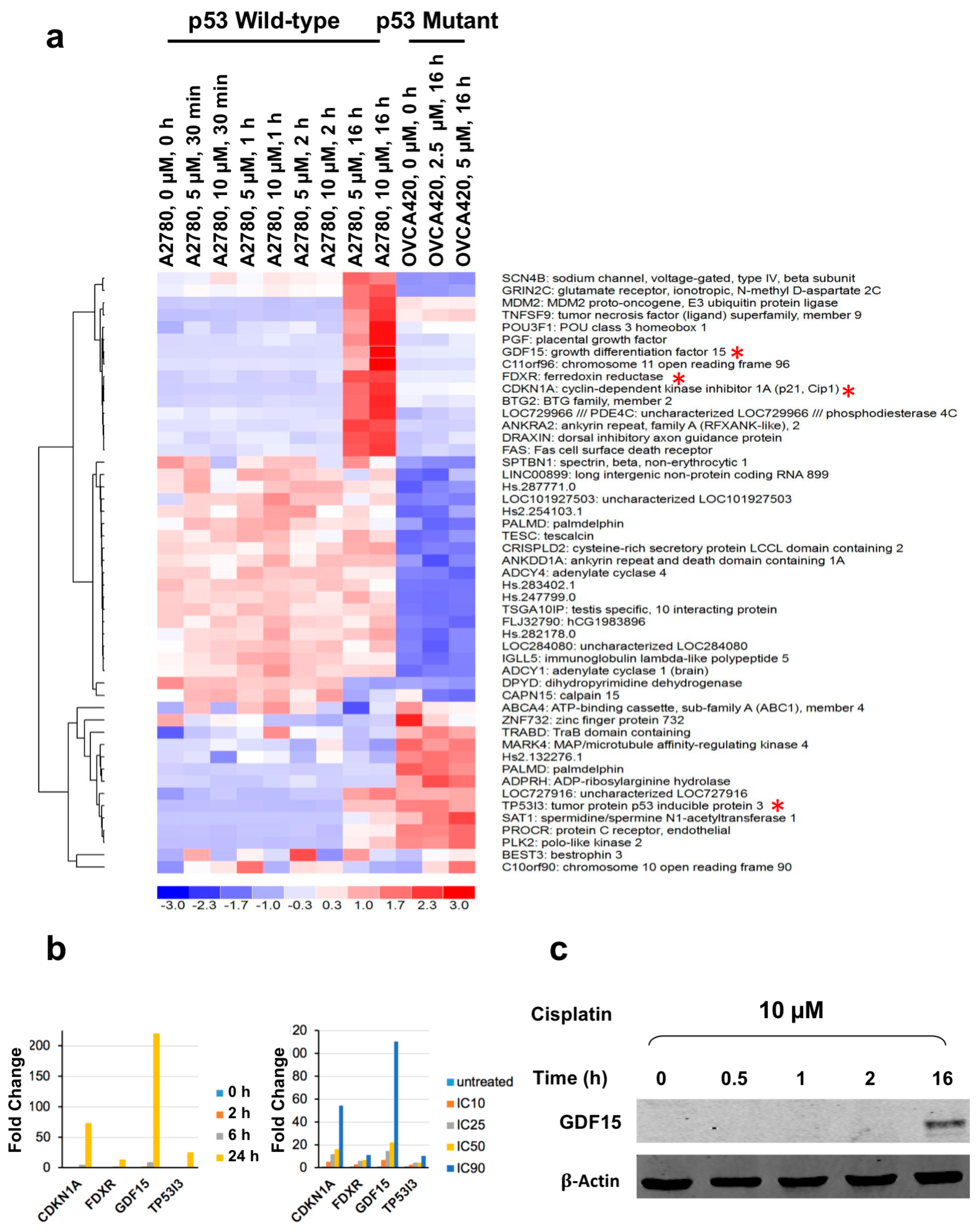 Cancers 12 03043 g001 Cancers 12 03043 g001
