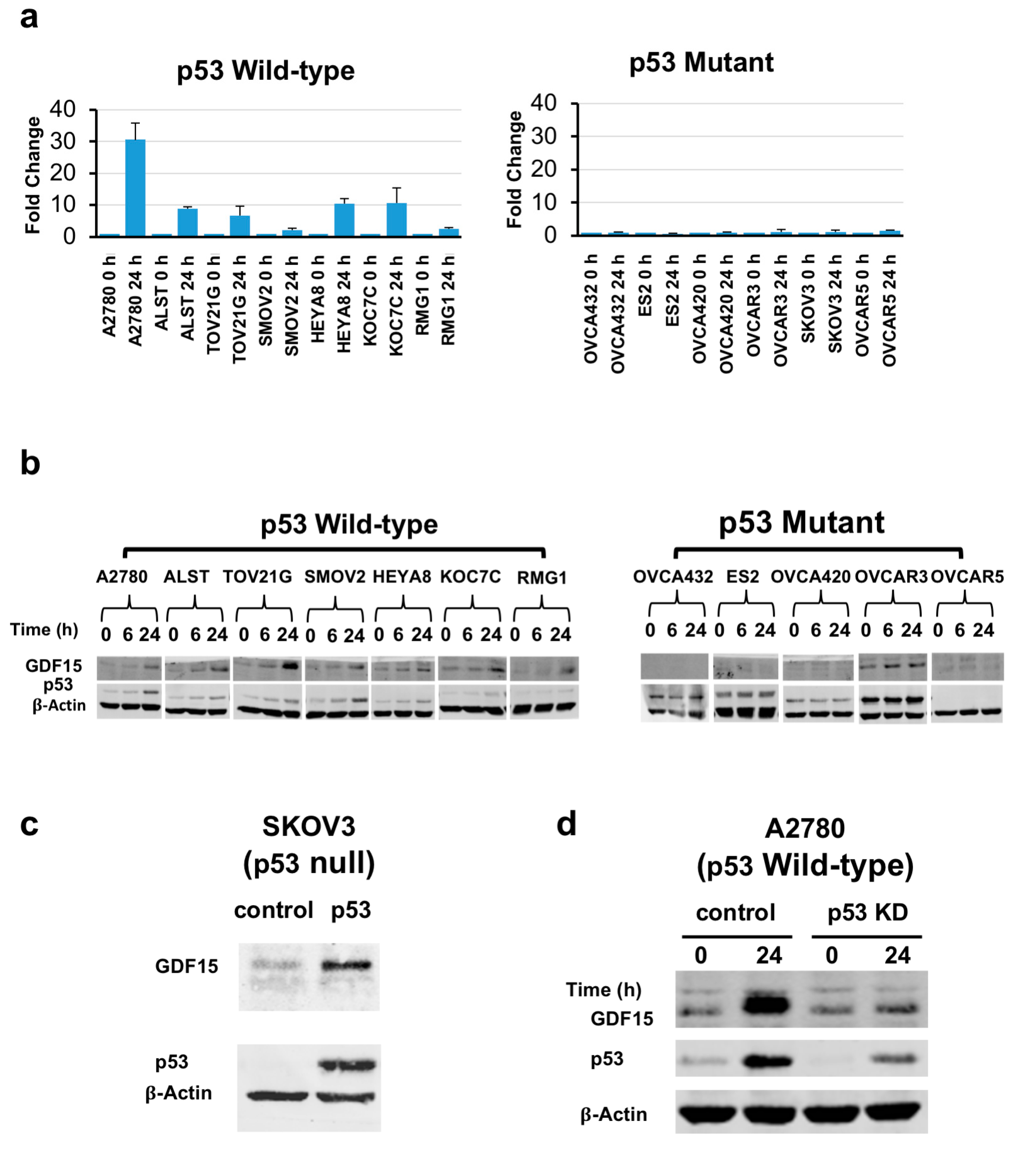 Cancers 12 03043 g002 Cancers 12 03043 g002