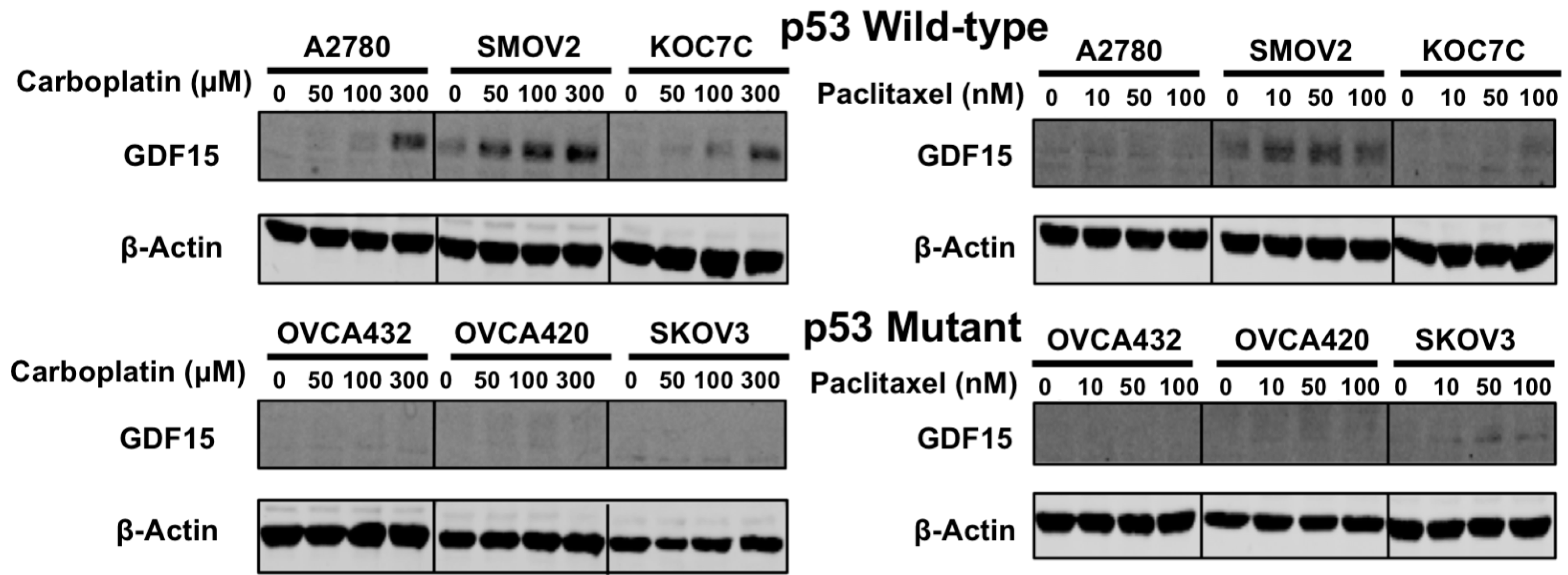 Cancers 12 03043 g003 Cancers 12 03043 g003