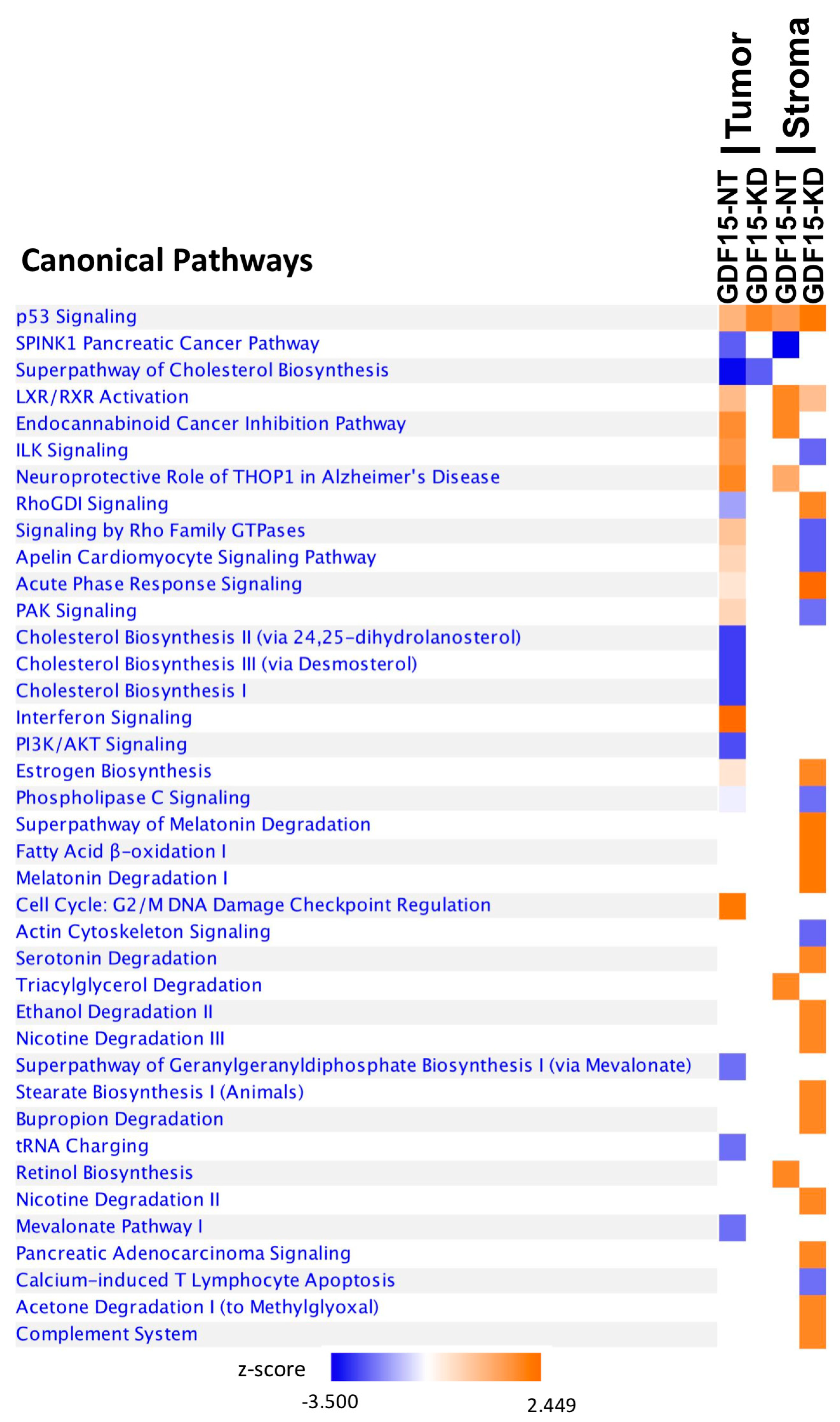 Cancers 12 03043 g006 Cancers 12 03043 g006