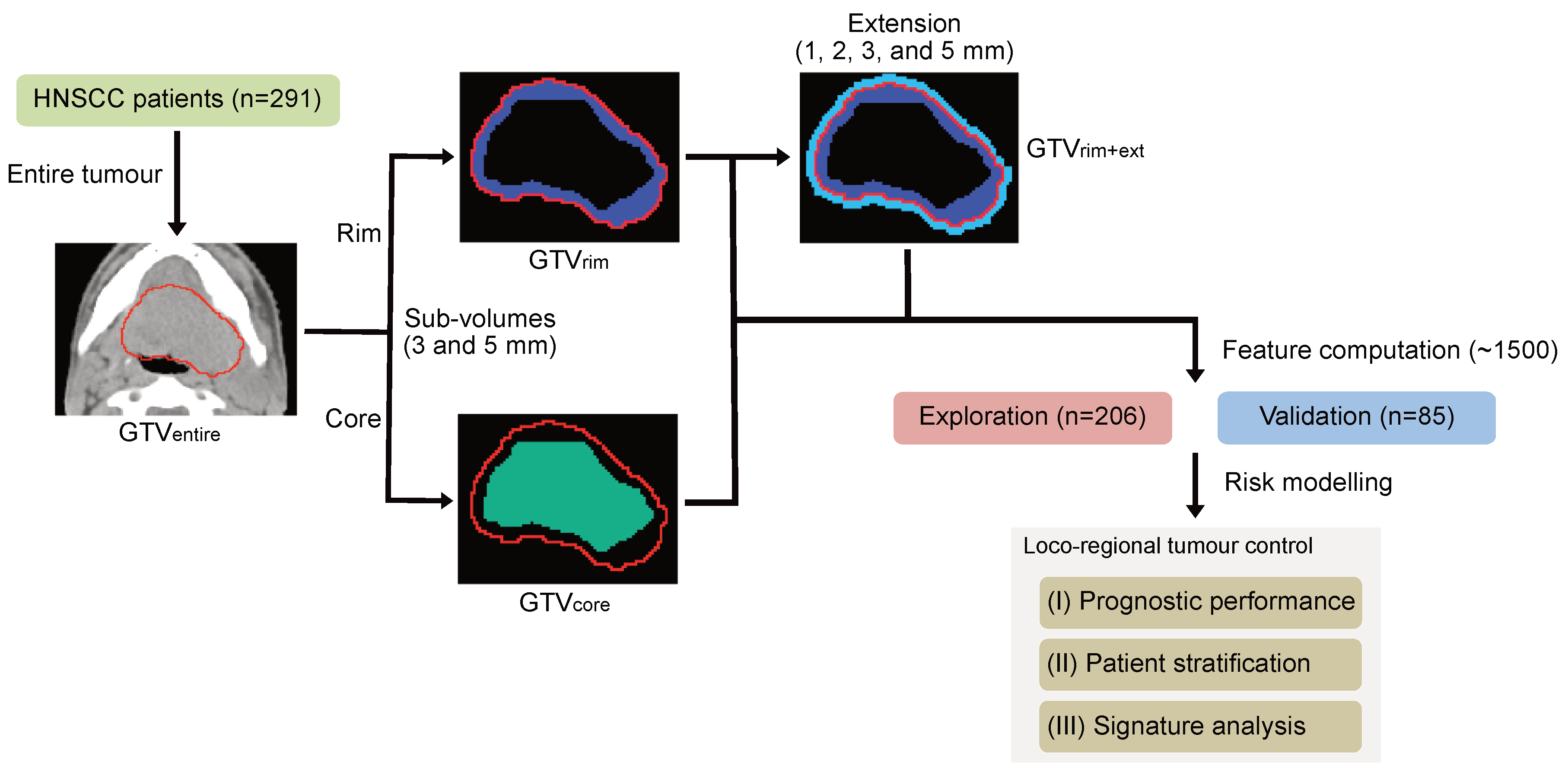 Cancers 12 03047 g001 Cancers 12 03047 g001