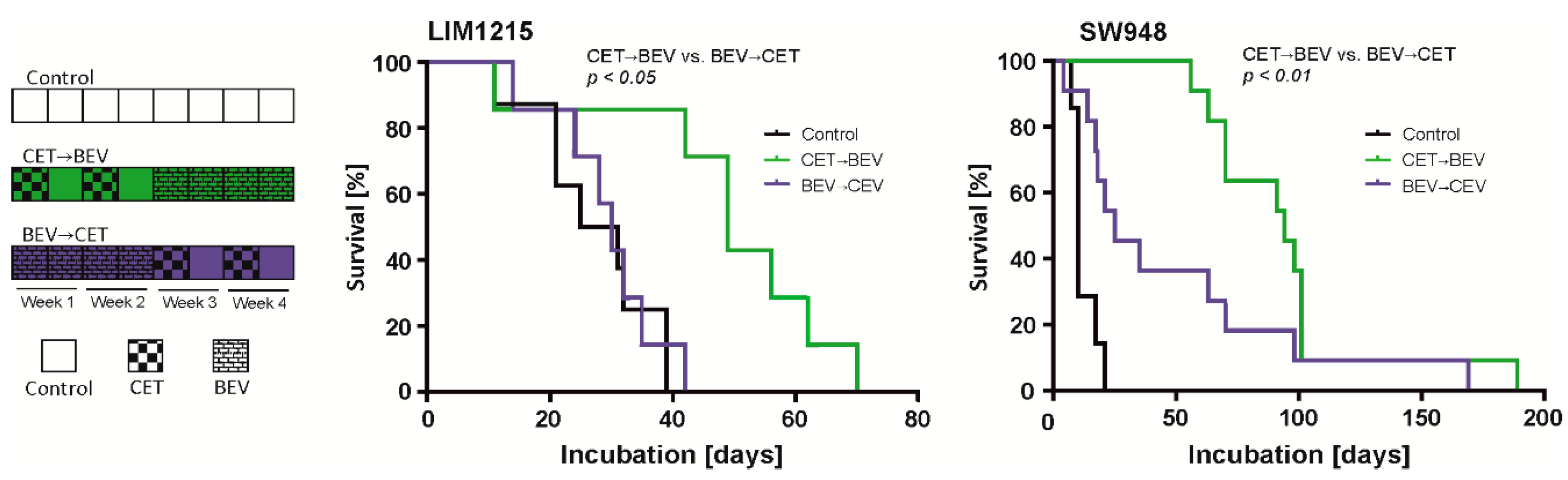 Cancers 12 03050 g005 Cancers 12 03050 g005