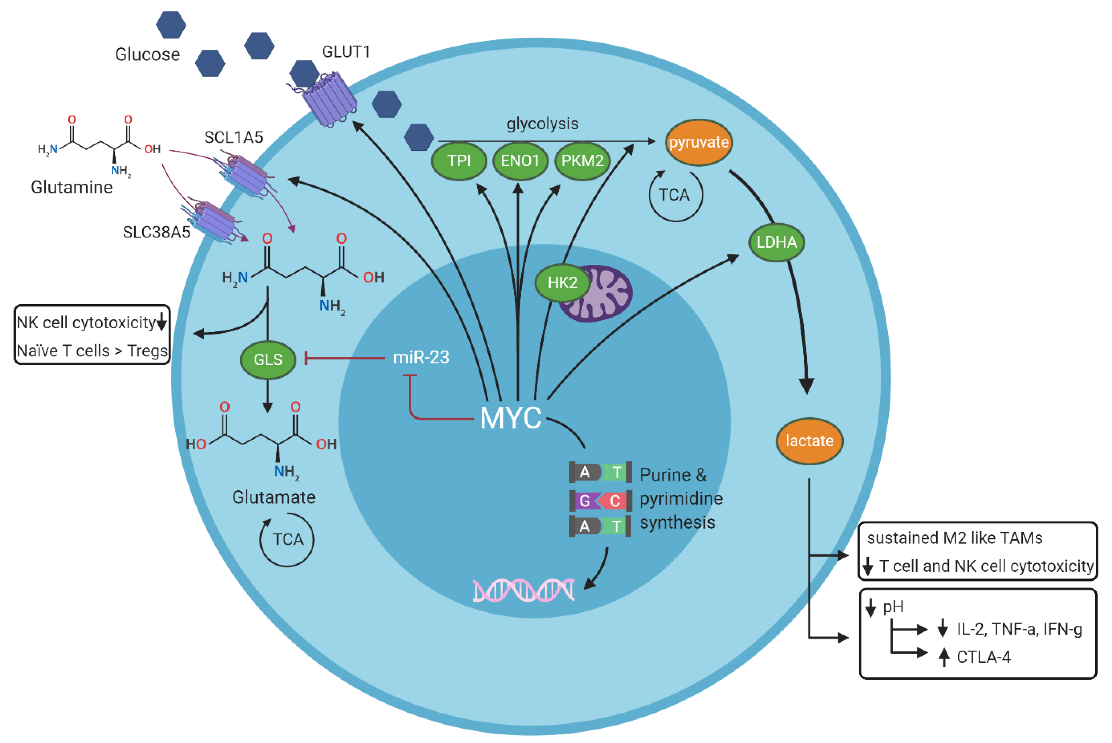 Cancers 12 03052 g002