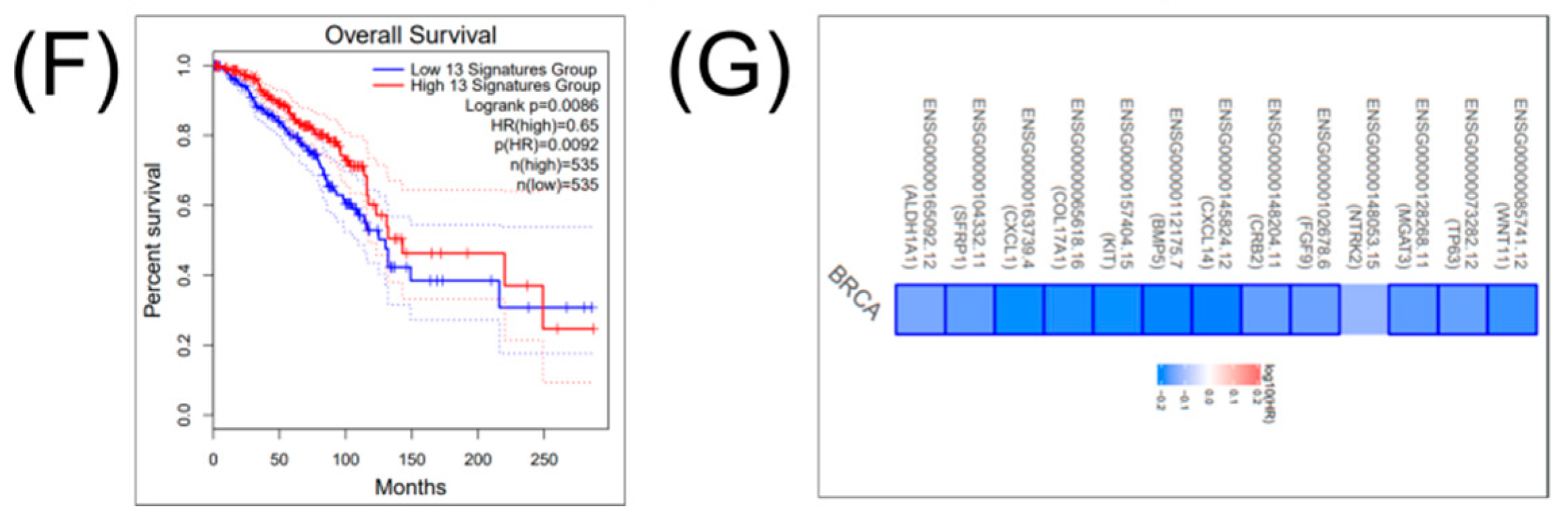 Cancers 12 03053 g002b Cancers 12 03053 g002b