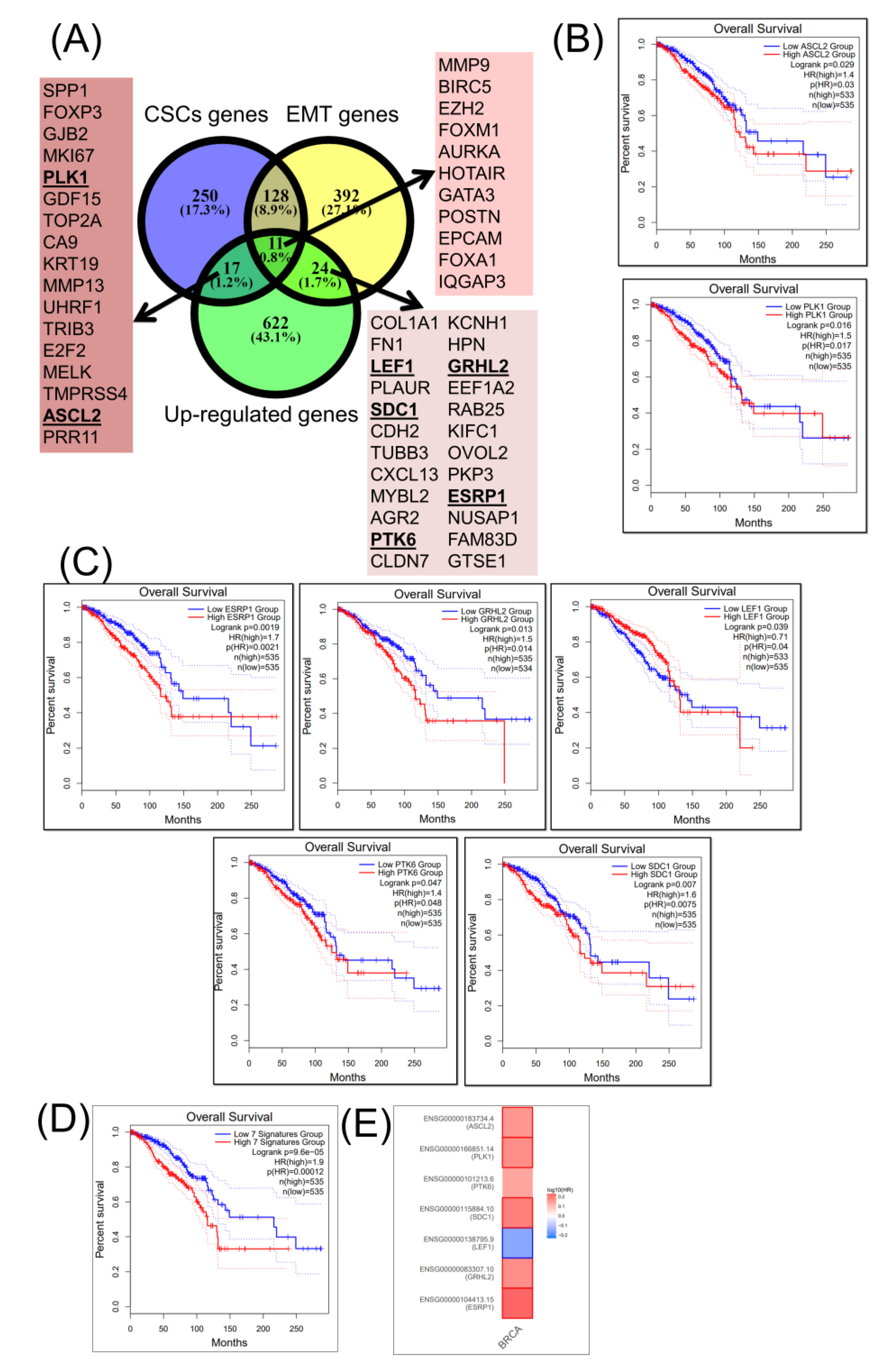 Cancers 12 03053 g003 Cancers 12 03053 g003