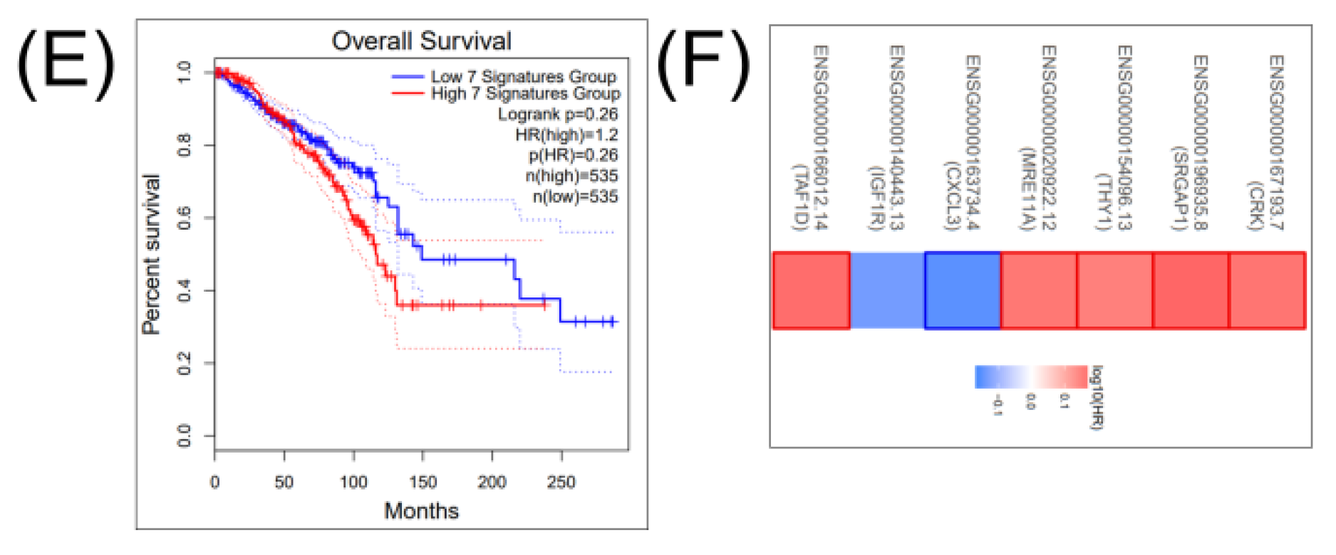Cancers 12 03053 g004b Cancers 12 03053 g004b