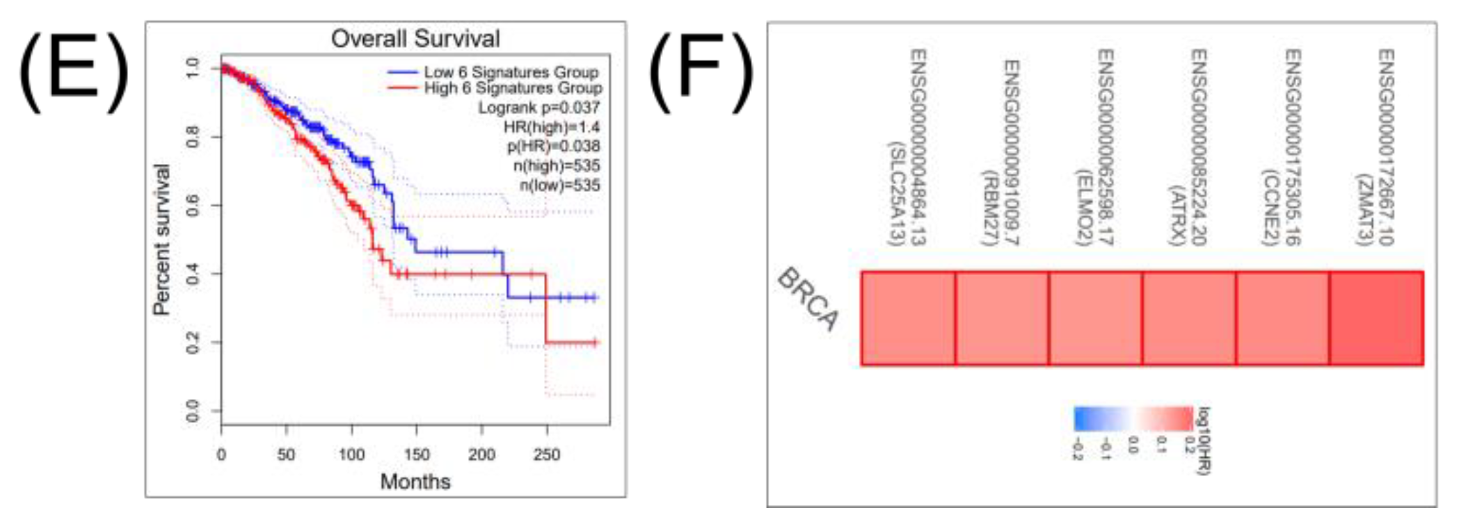 Cancers 12 03053 g005b Cancers 12 03053 g005b