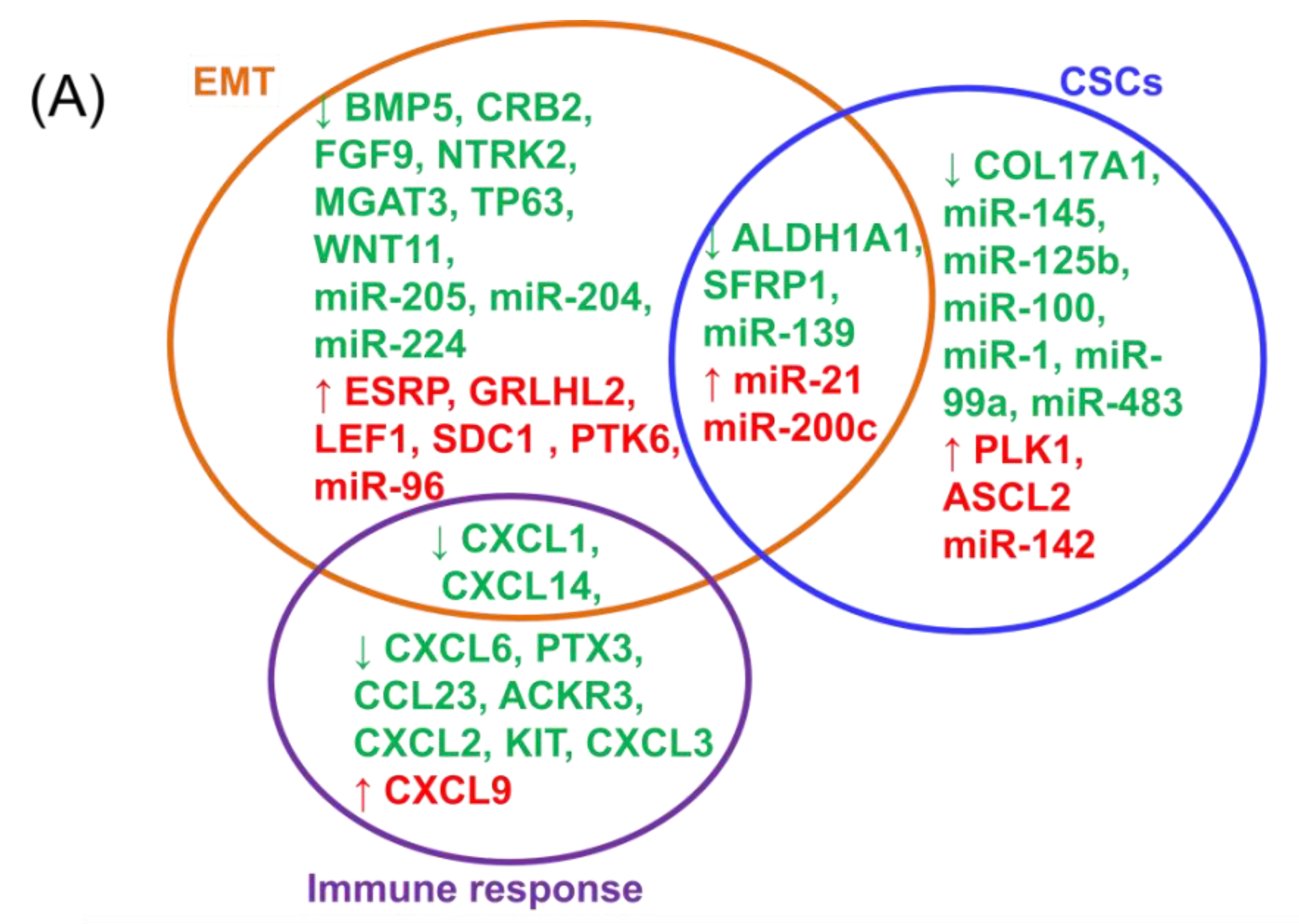 Cancers 12 03053 g007a Cancers 12 03053 g007a