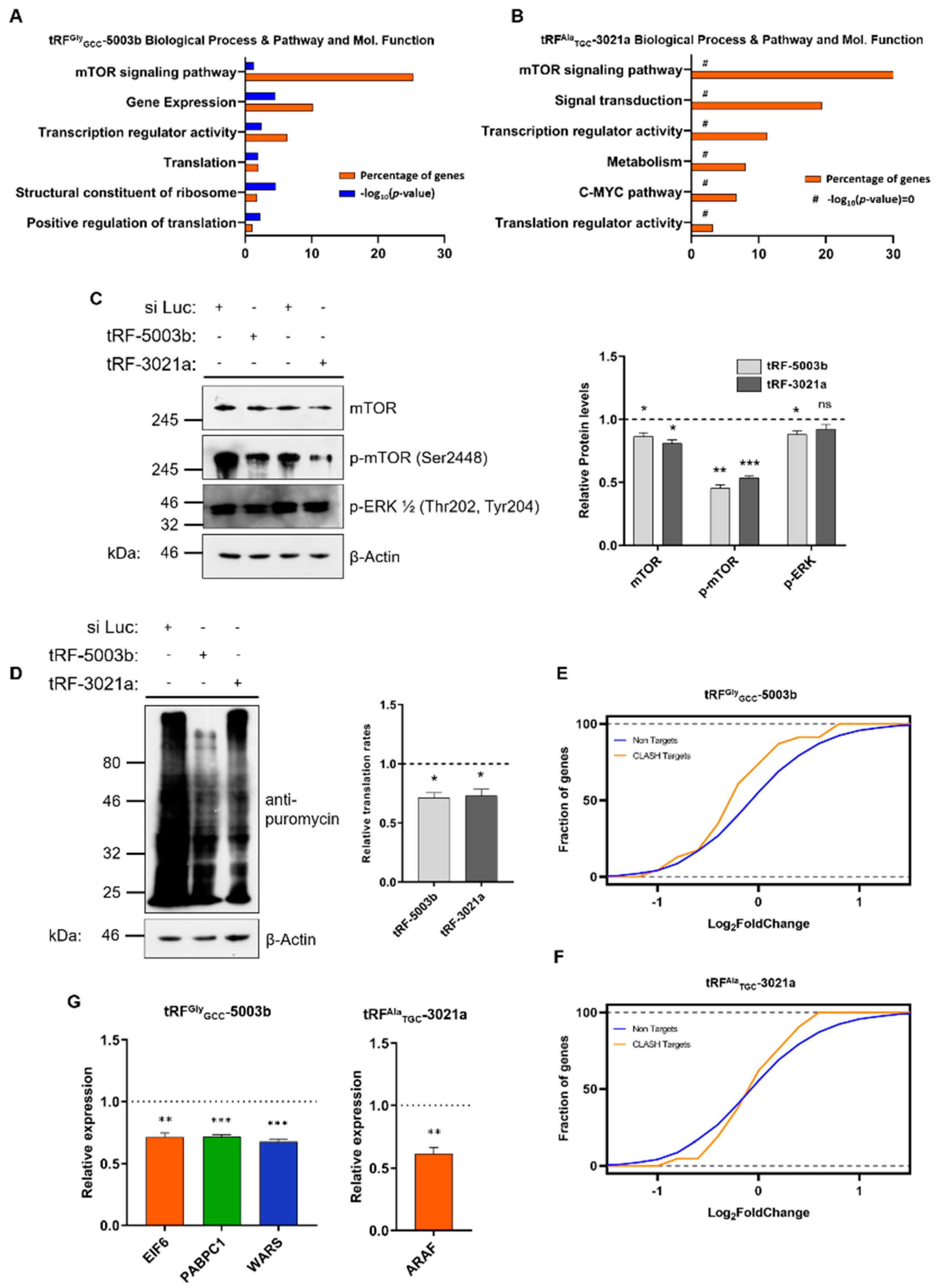 Cancers 12 03056 g004 Cancers 12 03056 g004