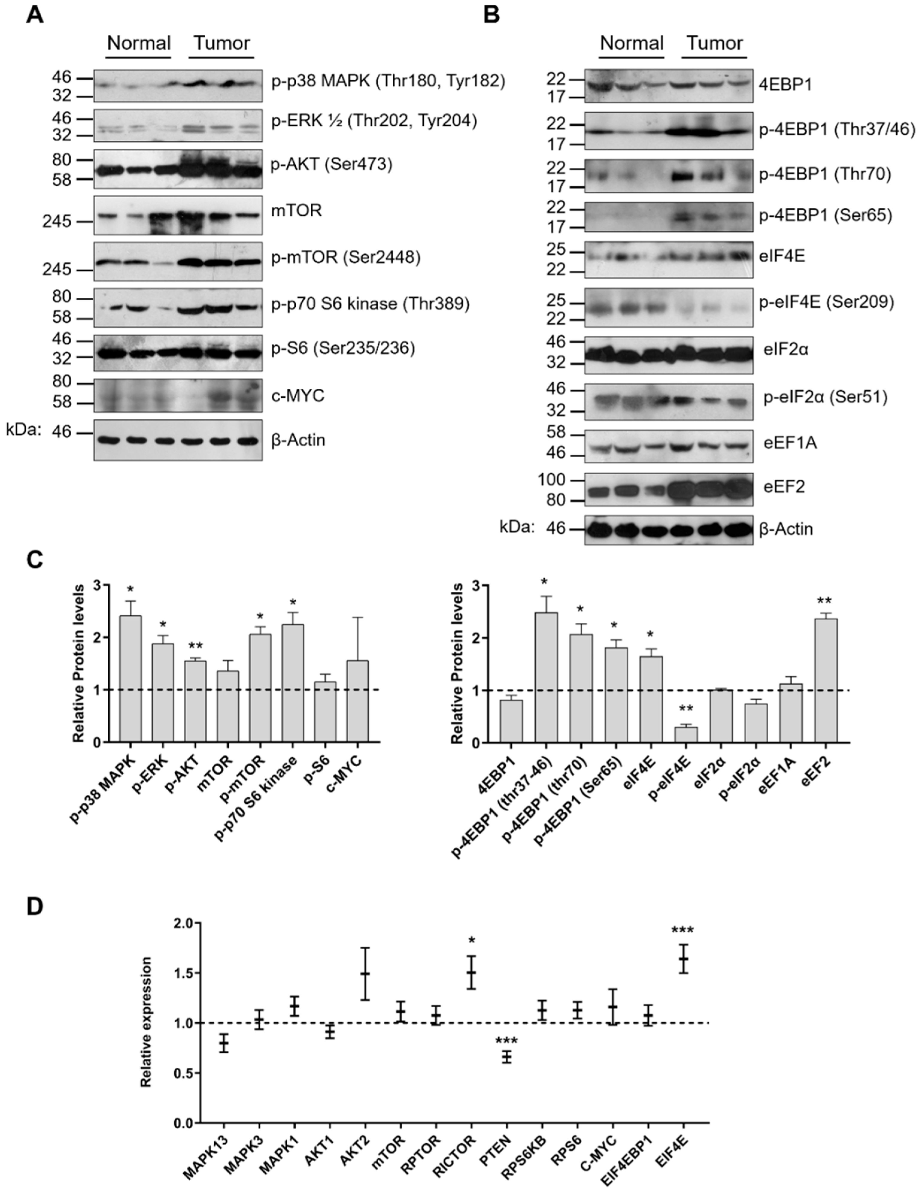 Cancers 12 03056 g005 Cancers 12 03056 g005