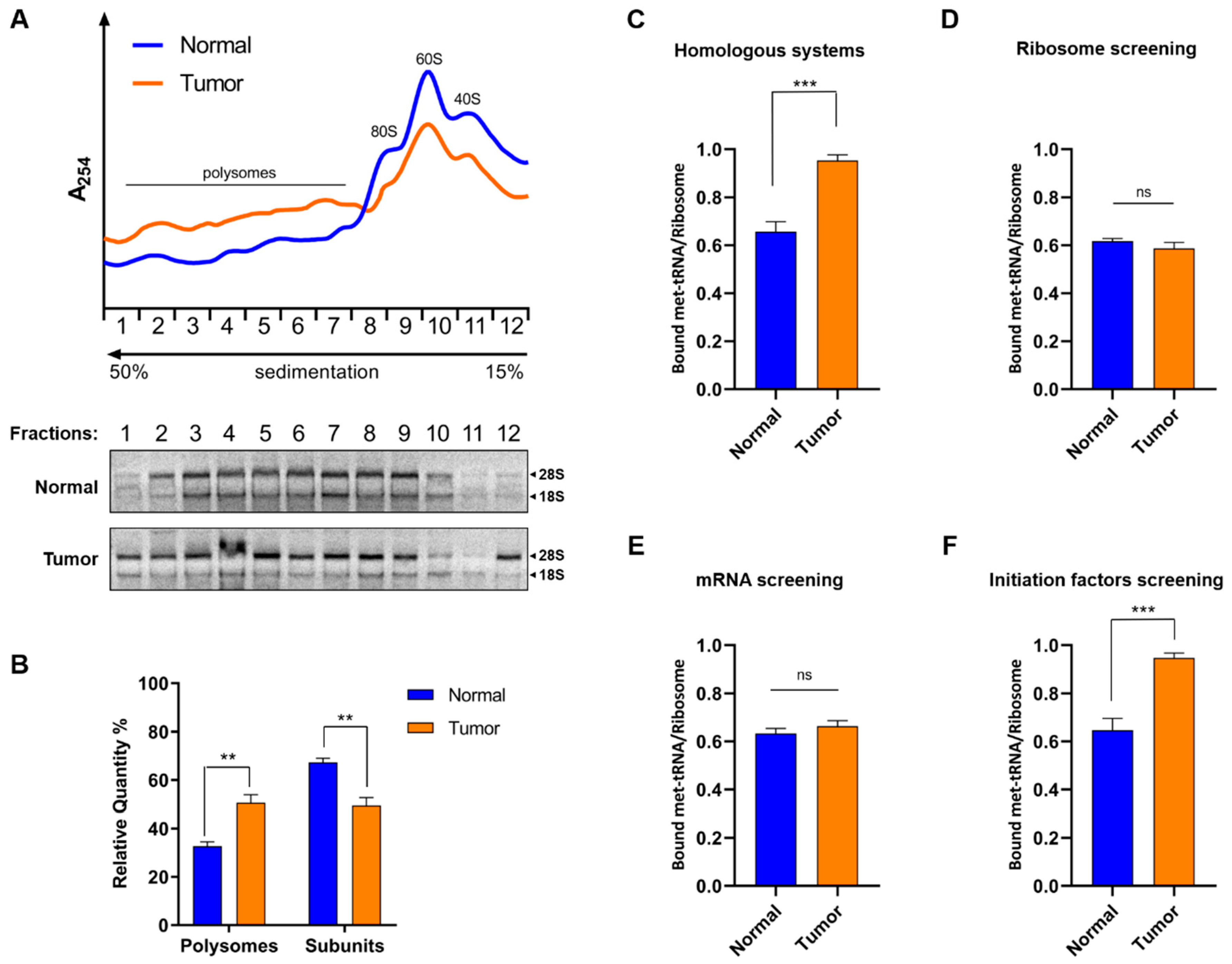 Cancers 12 03056 g006 Cancers 12 03056 g006