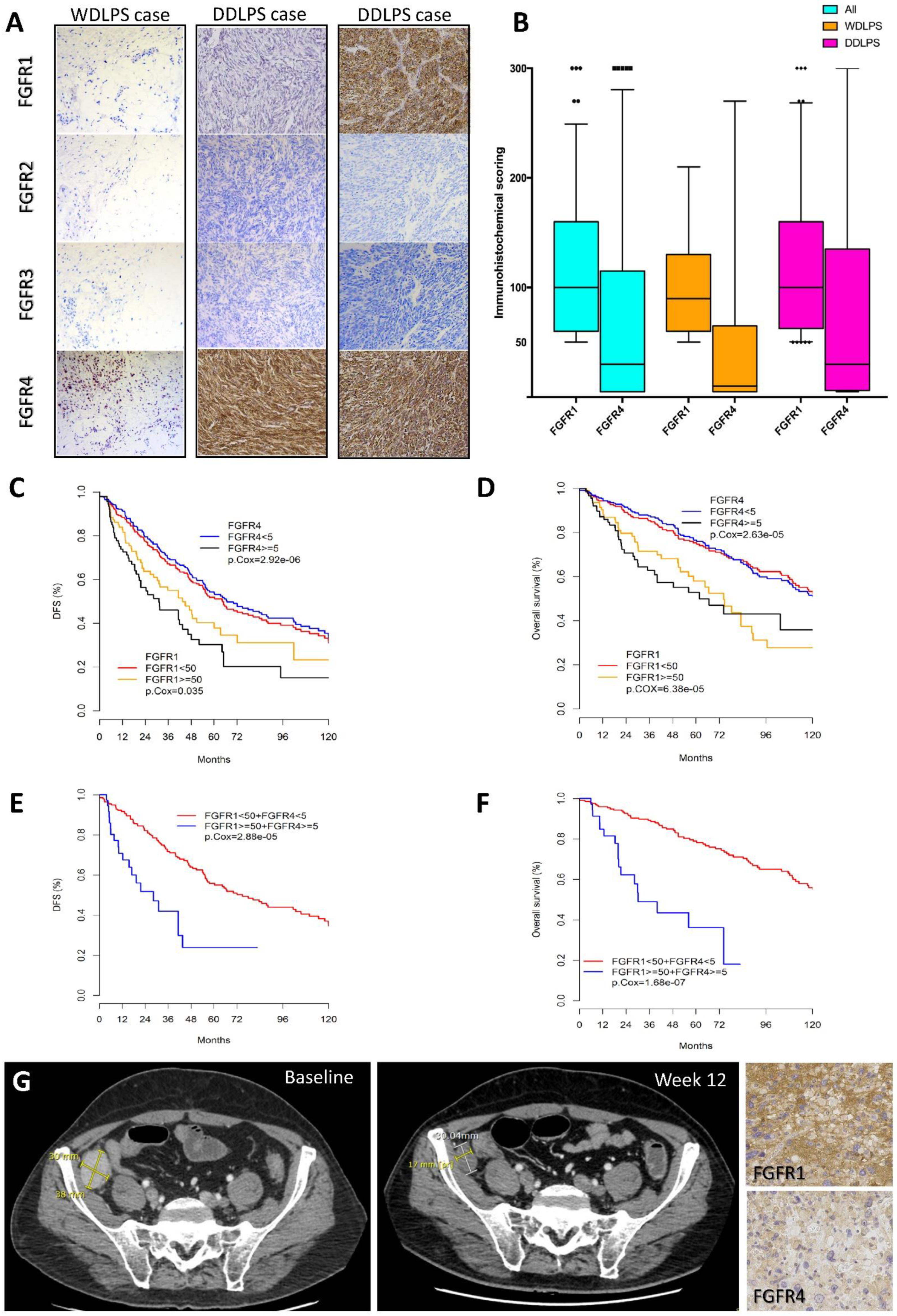 Cancers 12 03058 g001 Cancers 12 03058 g001