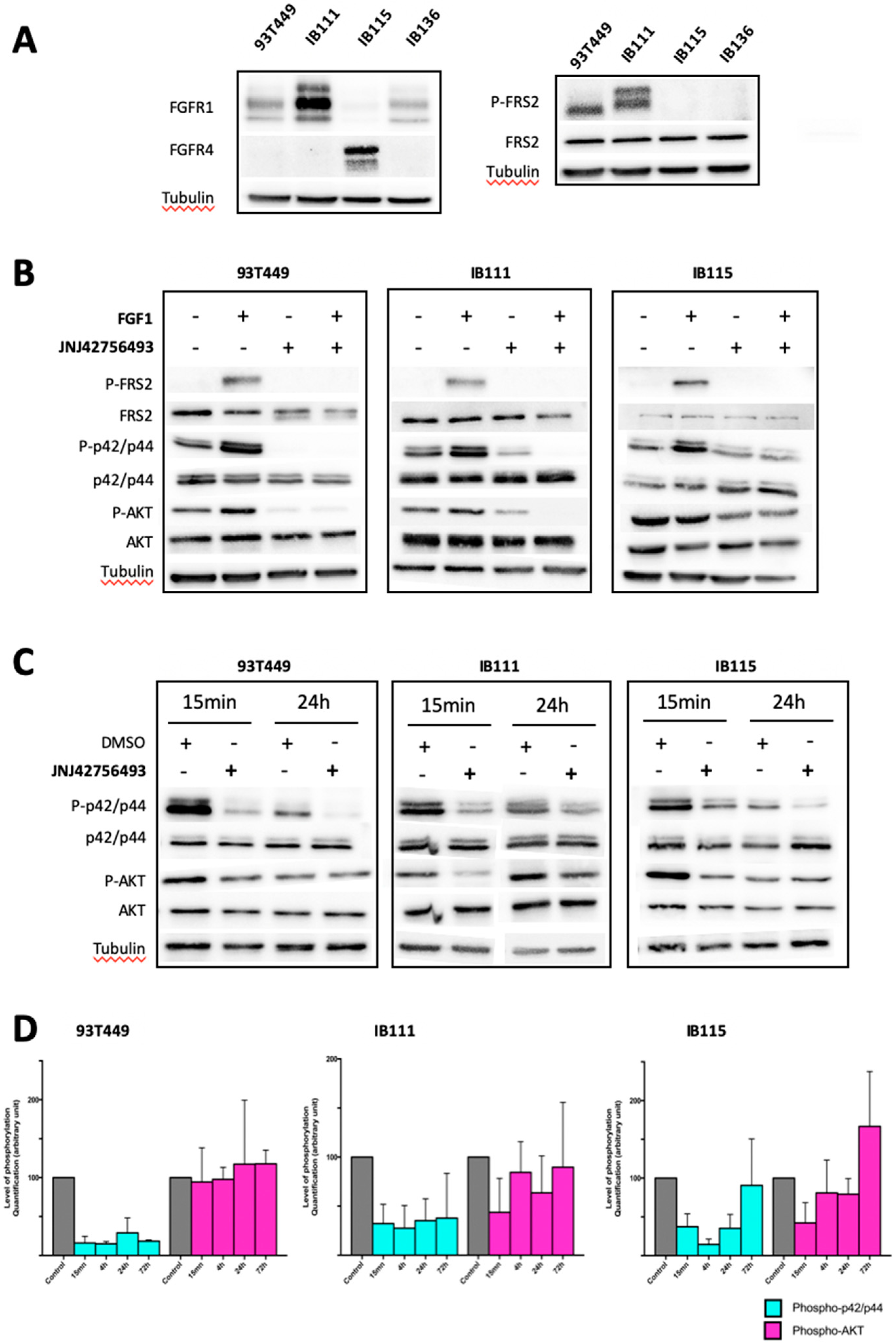 Cancers 12 03058 g002 Cancers 12 03058 g002