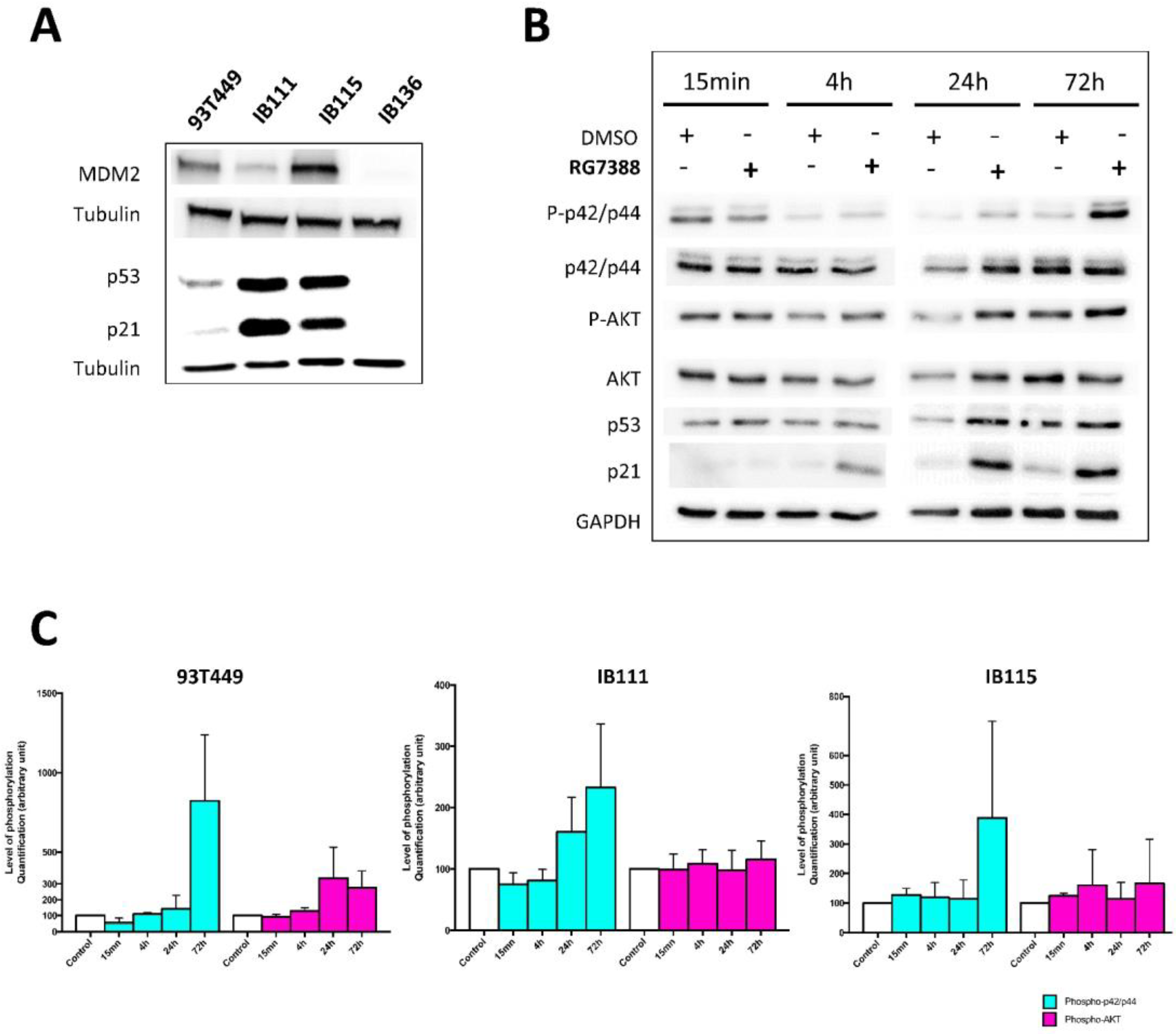Cancers 12 03058 g003 Cancers 12 03058 g003