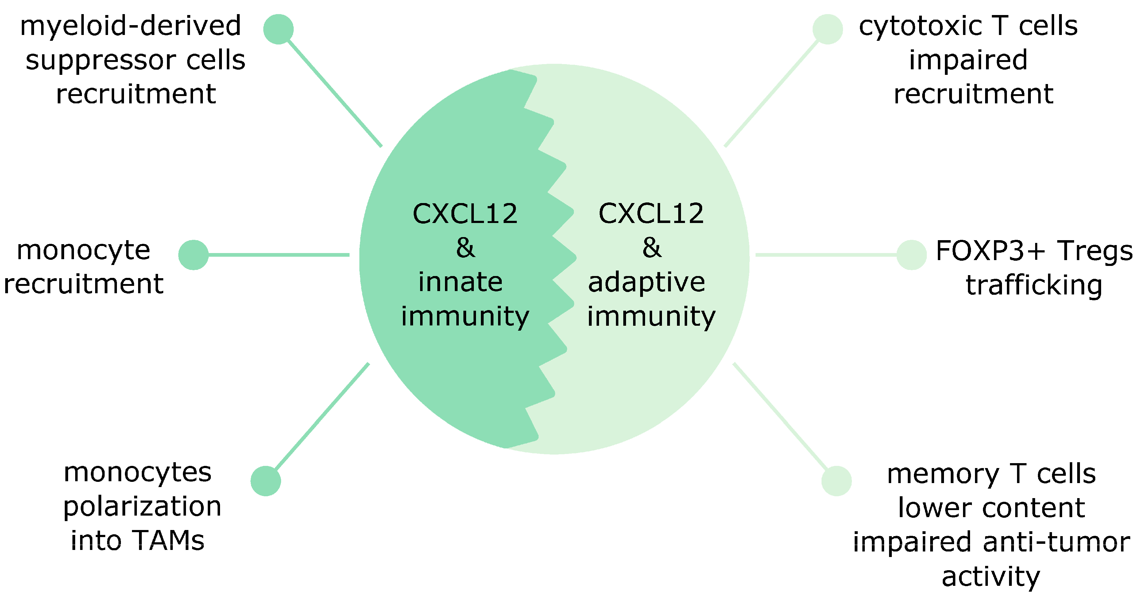 Cancers 12 03071 g001 Cancers 12 03071 g001