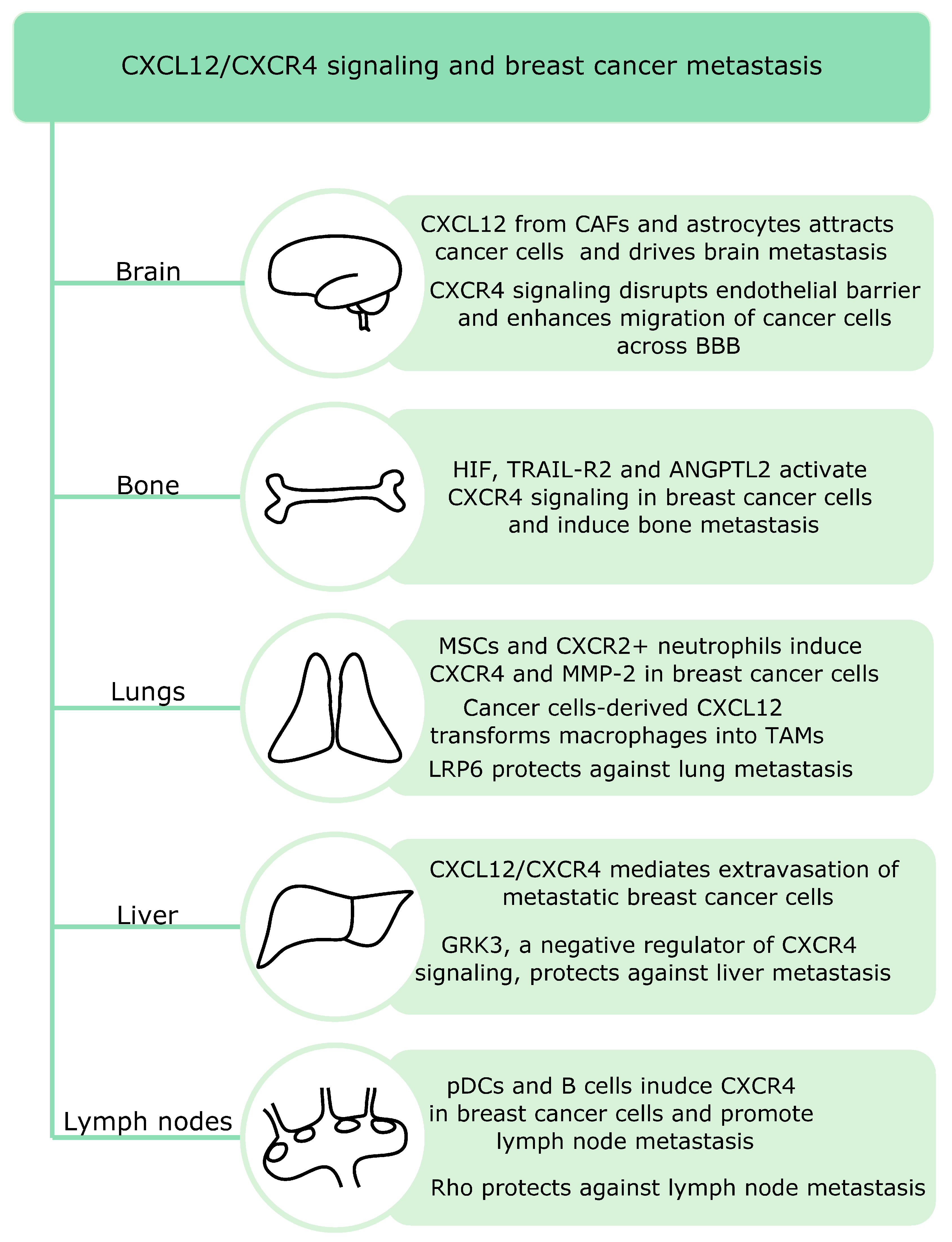 Cancers 12 03071 g002 Cancers 12 03071 g002