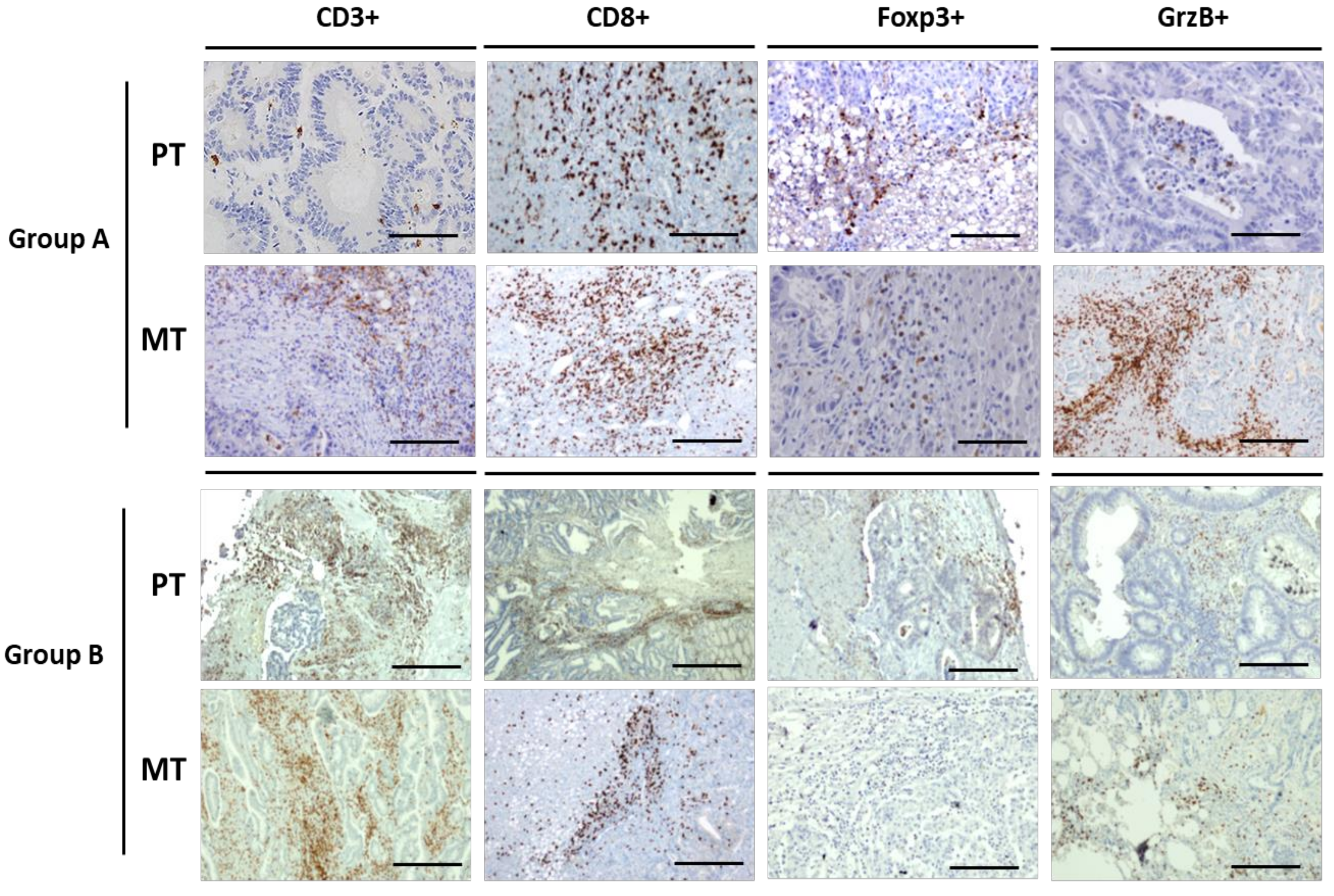 Cancers 12 03073 g004