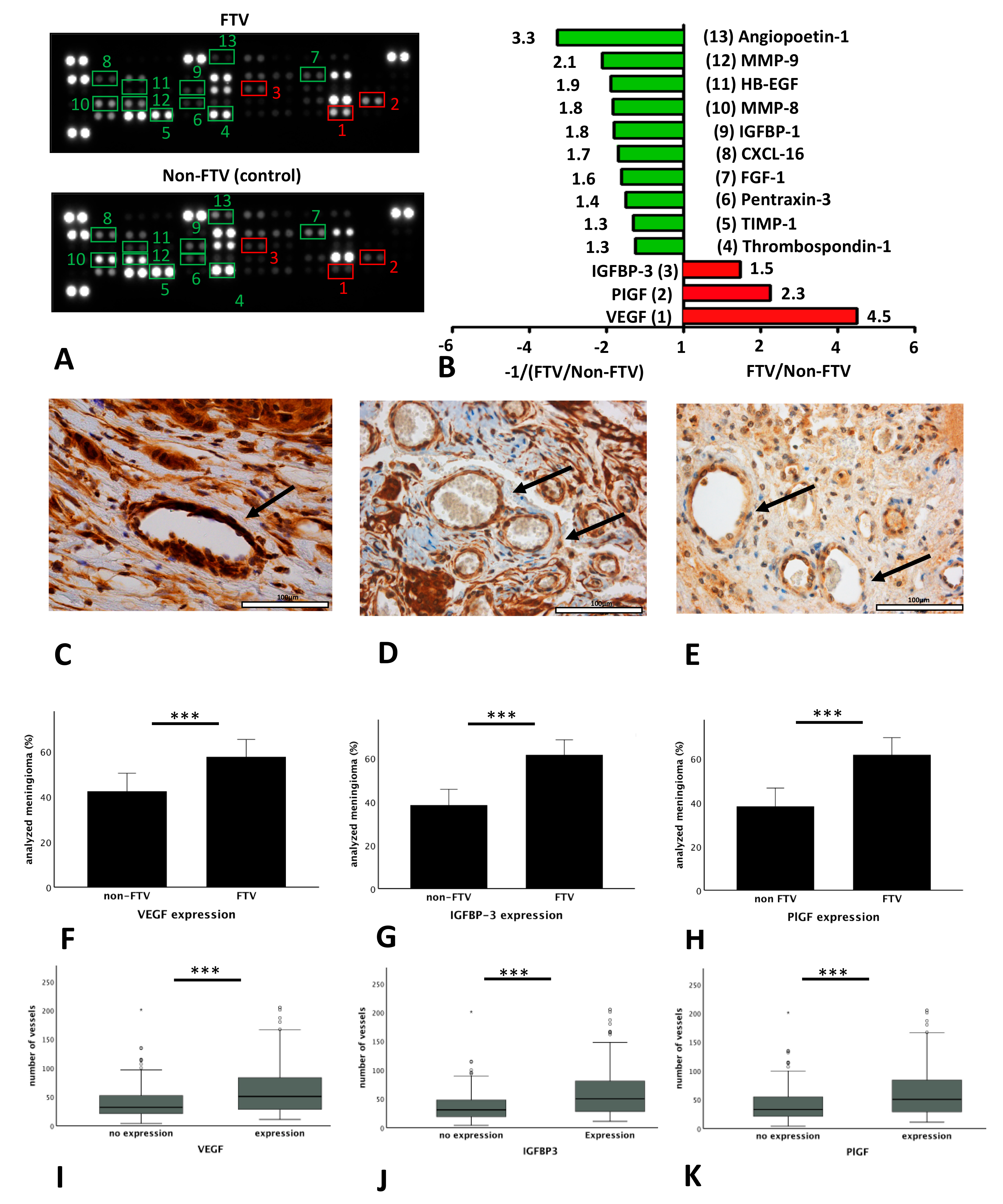 Cancers 12 03075 g003 Cancers 12 03075 g003