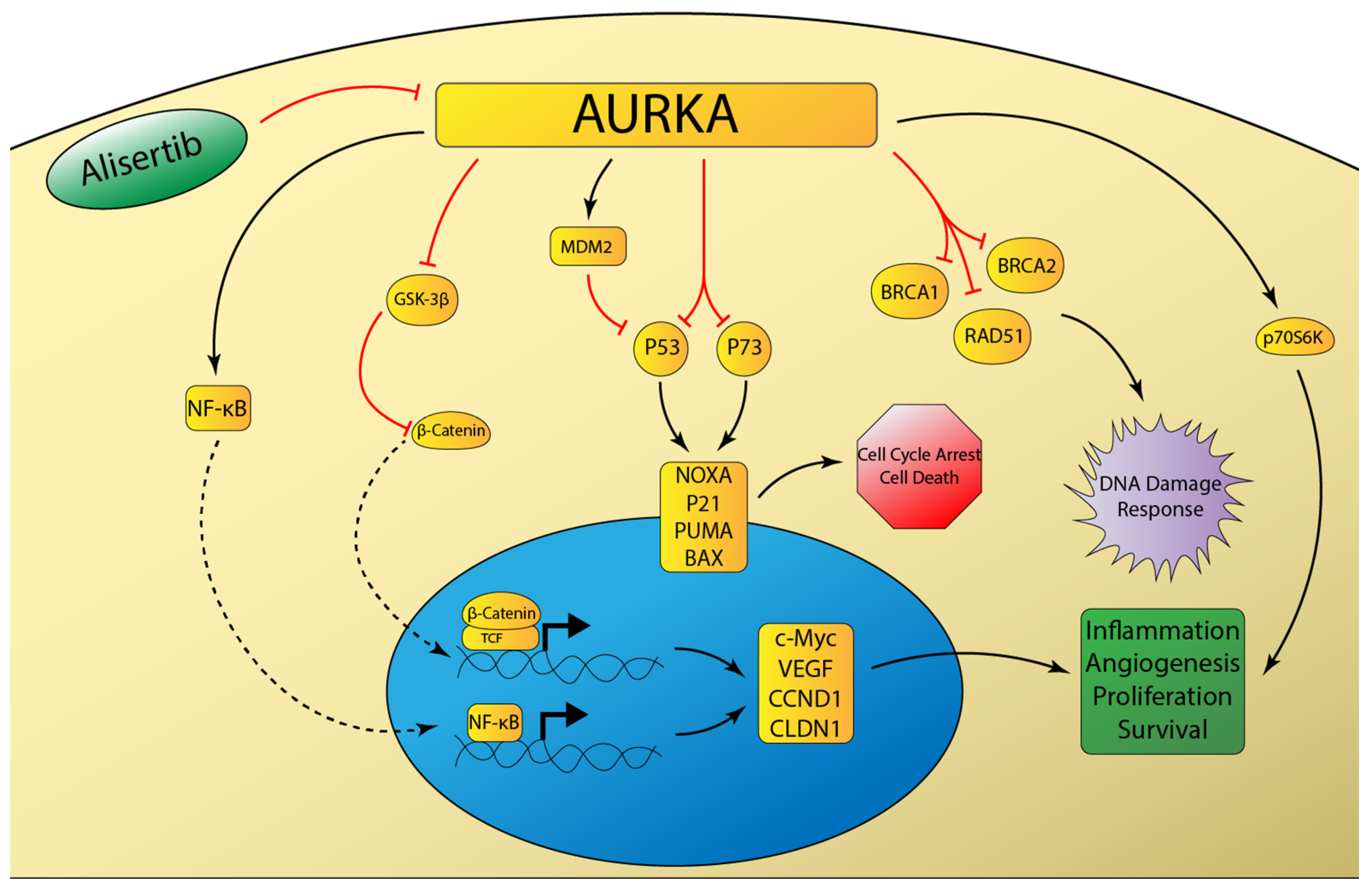 Cancers 12 03077 g002 Cancers 12 03077 g002
