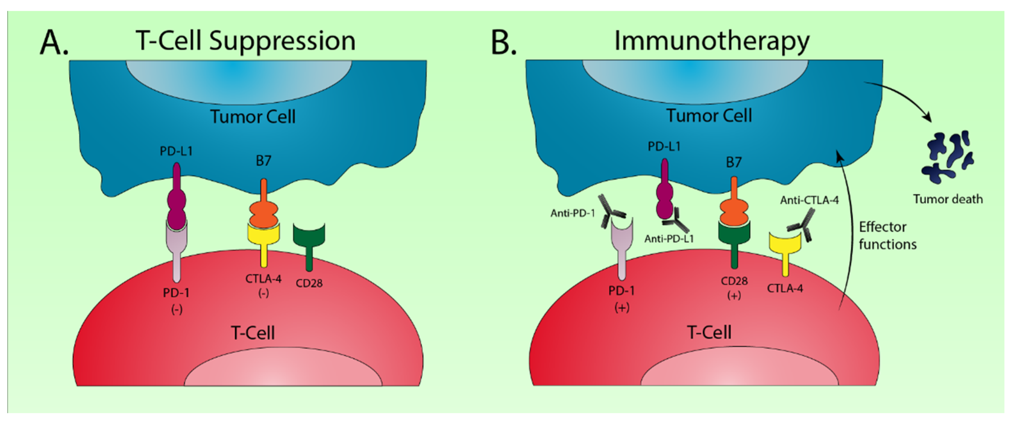 Cancers 12 03077 g003 Cancers 12 03077 g003