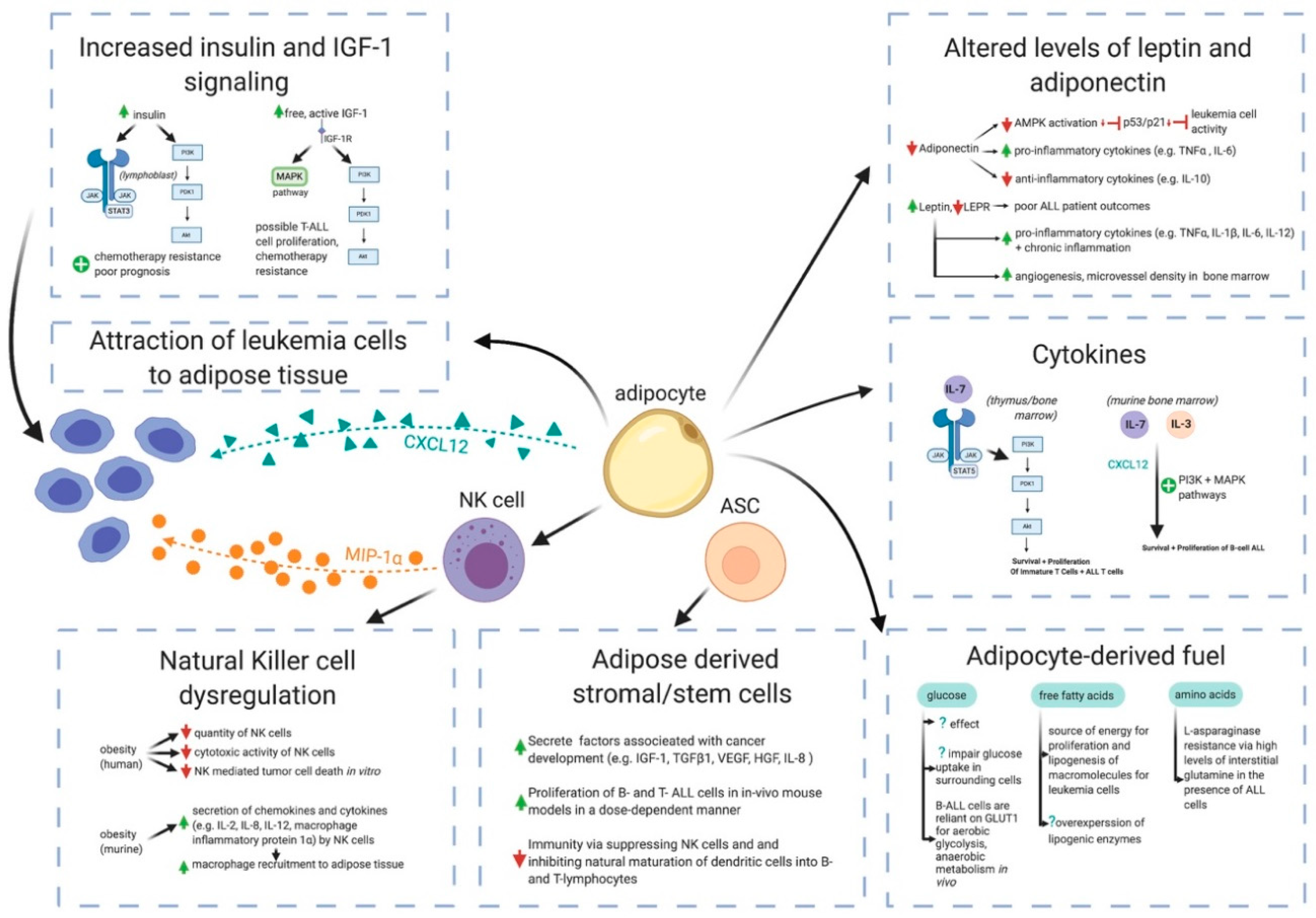 Cancers 12 03082 g001