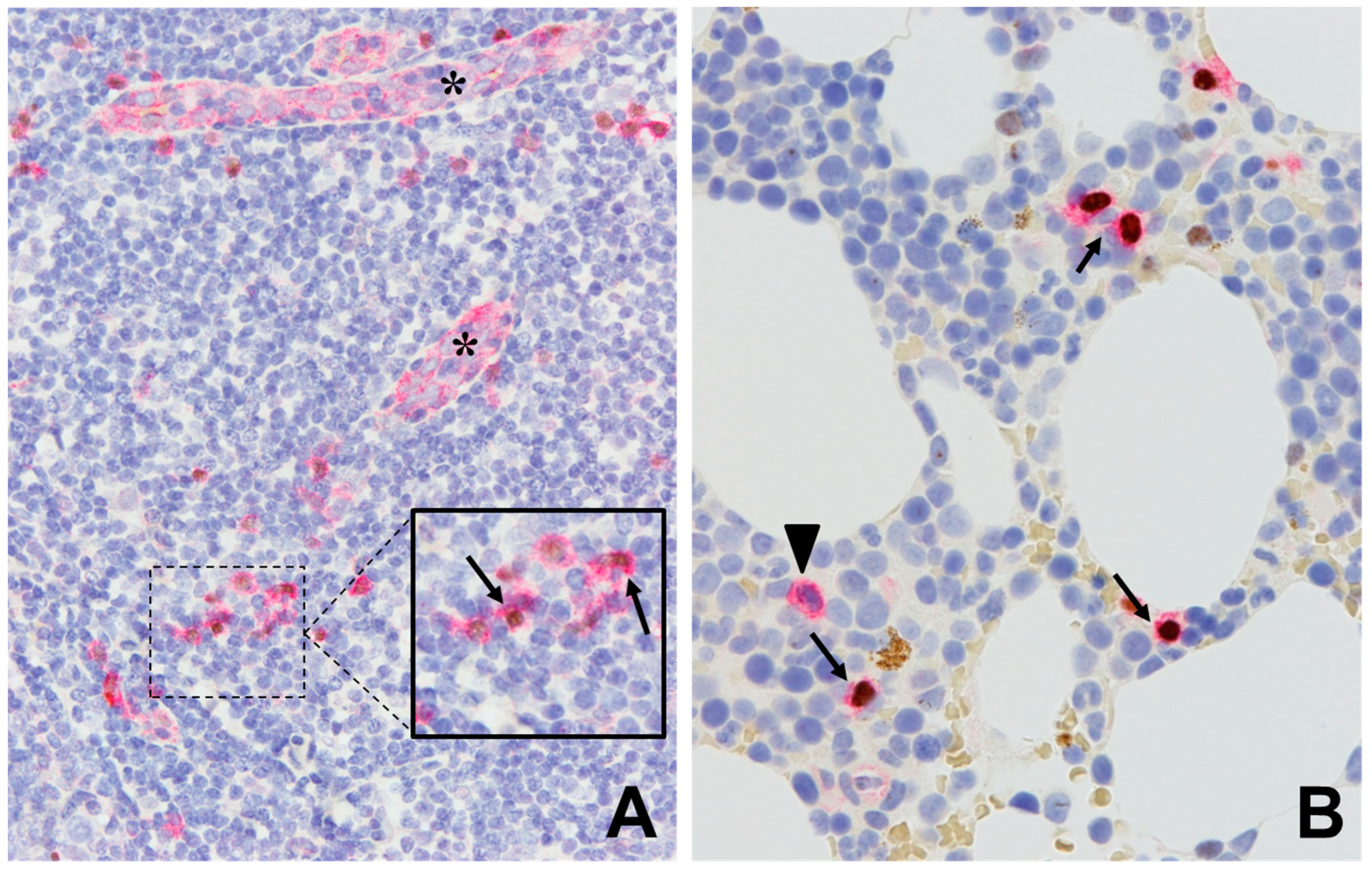 Cancers 12 03087 g003