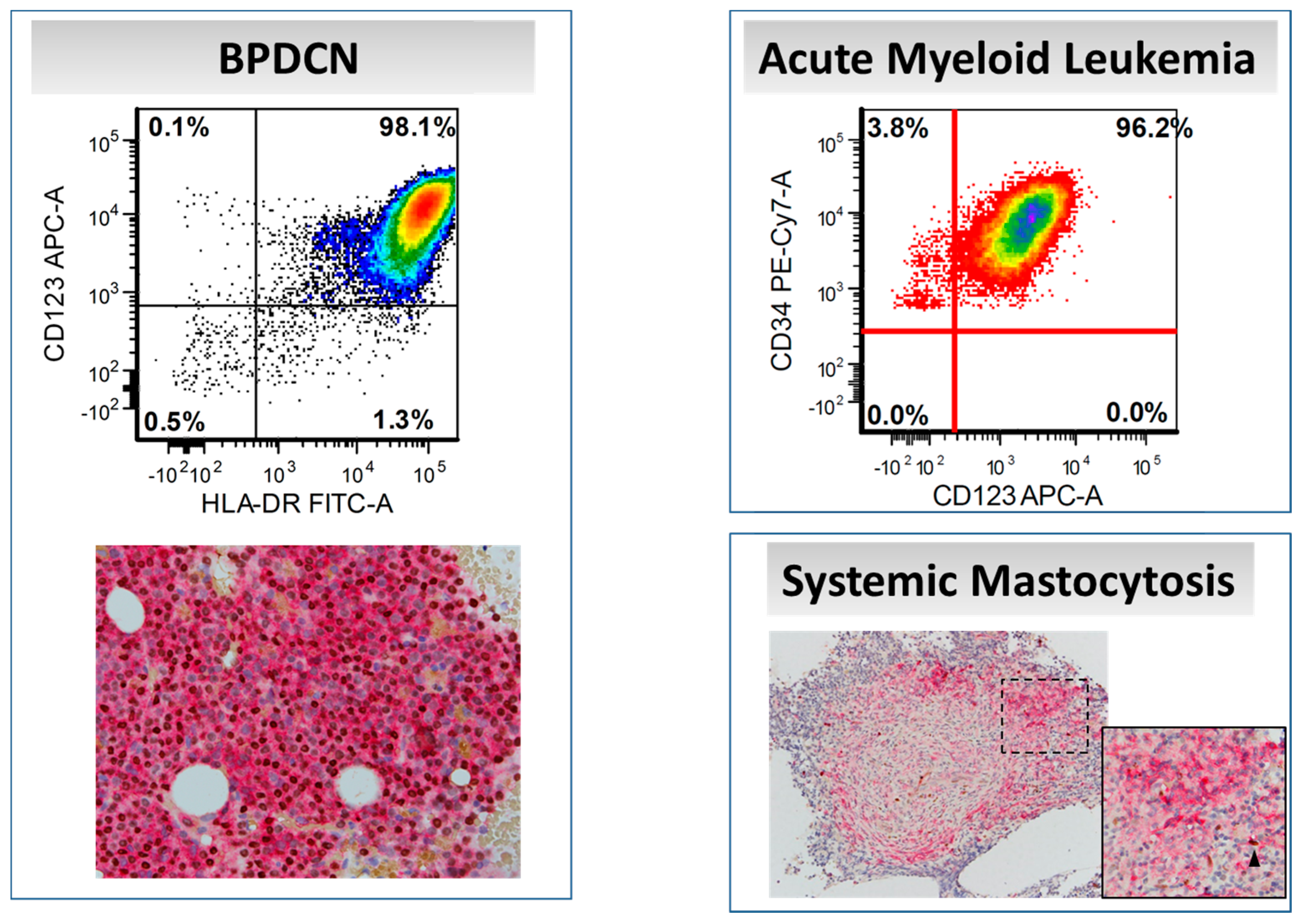 Cancers 12 03087 g004