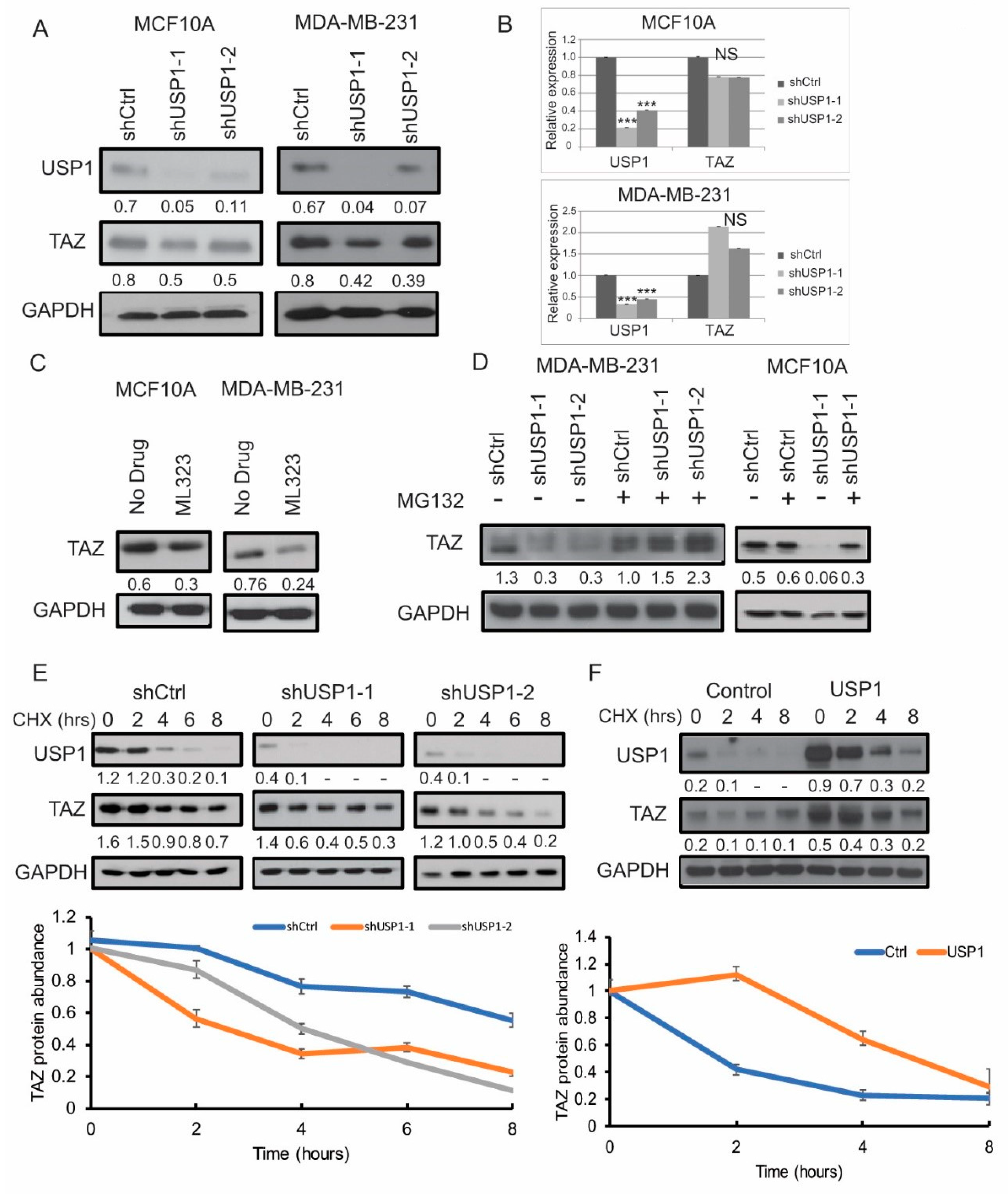 Cancers 12 03090 g002 Cancers 12 03090 g002