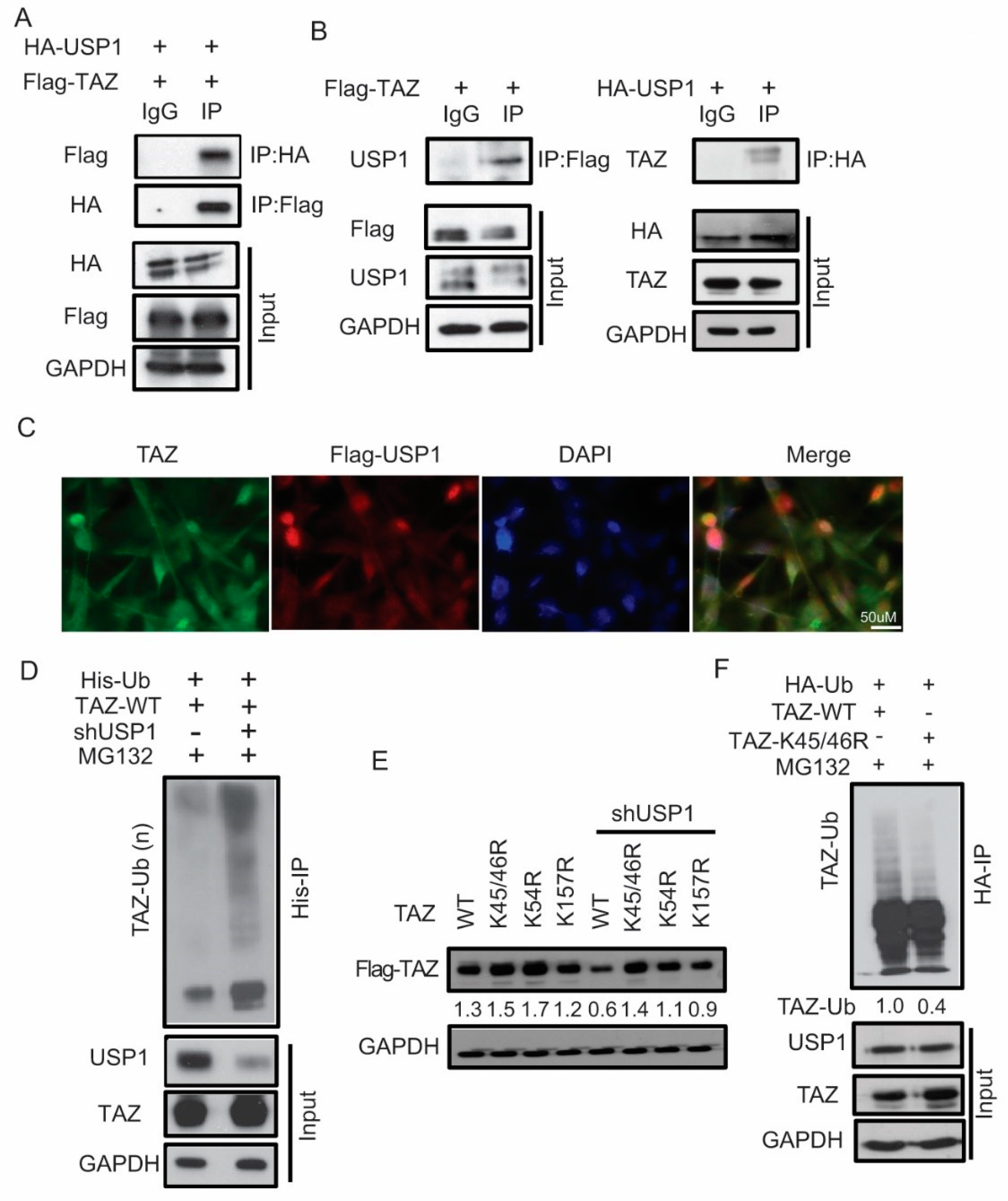 Cancers 12 03090 g003 Cancers 12 03090 g003