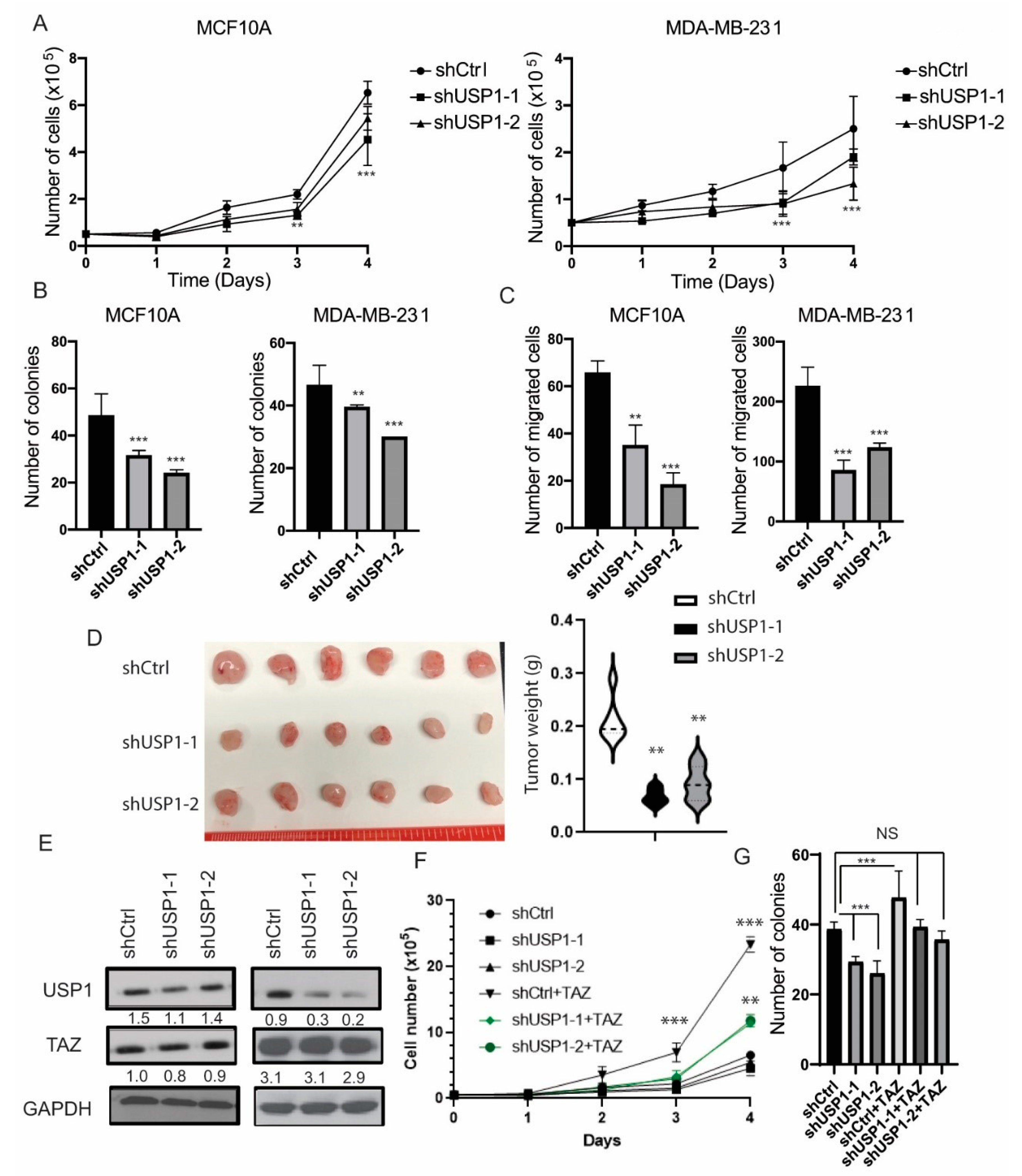 Cancers 12 03090 g004 Cancers 12 03090 g004