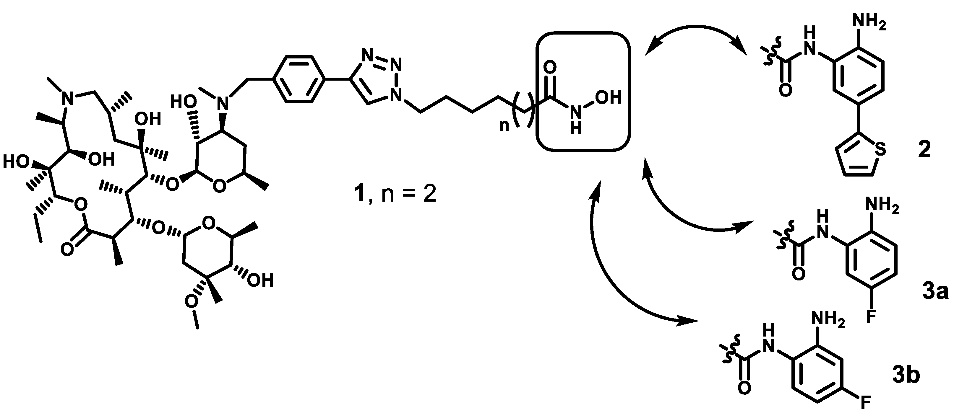 Cancers 12 03095 g002 Cancers 12 03095 g002