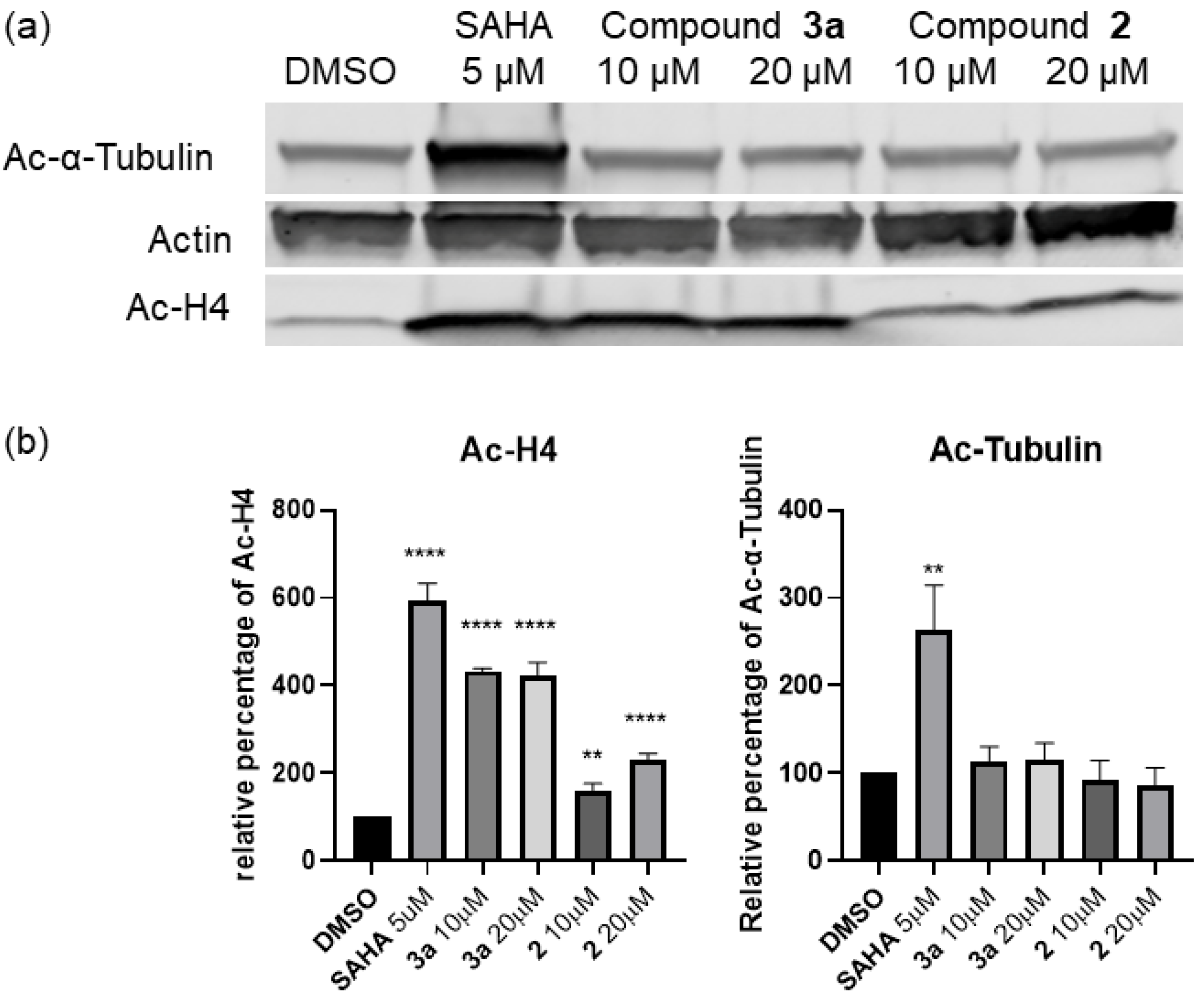 Cancers 12 03095 g004 Cancers 12 03095 g004