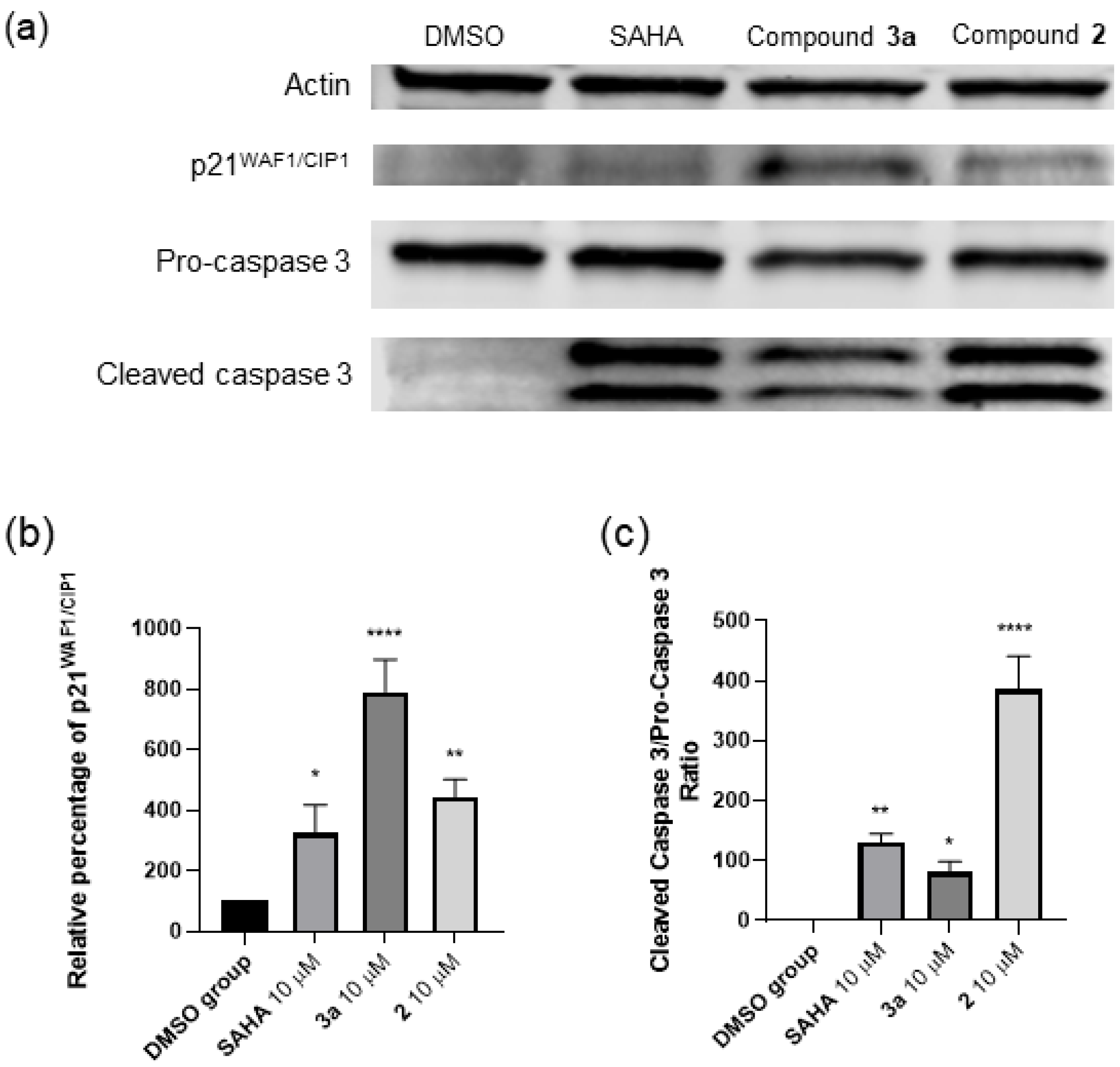 Cancers 12 03095 g006 Cancers 12 03095 g006